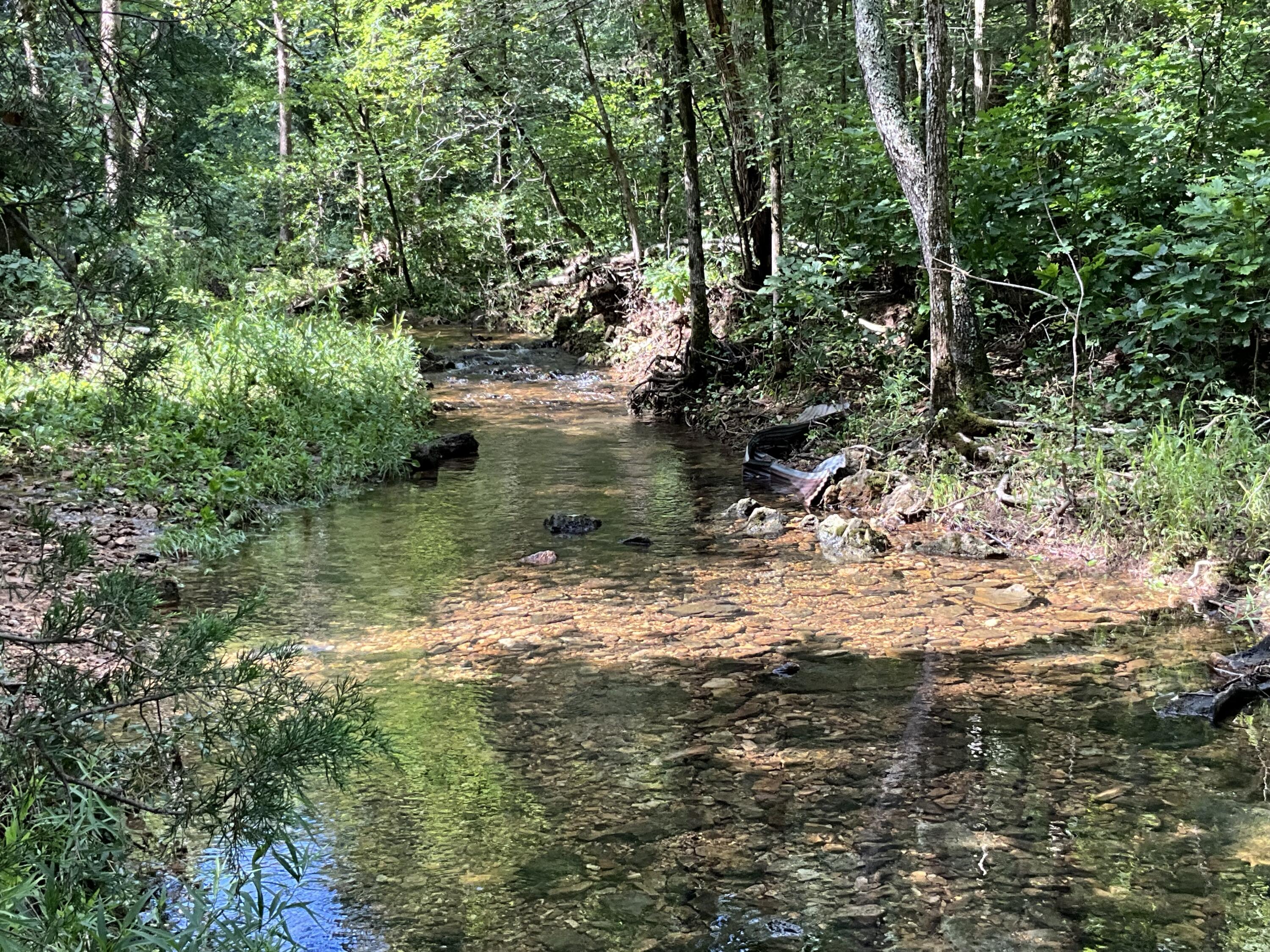 00000 County Road 544 Property Photo 38