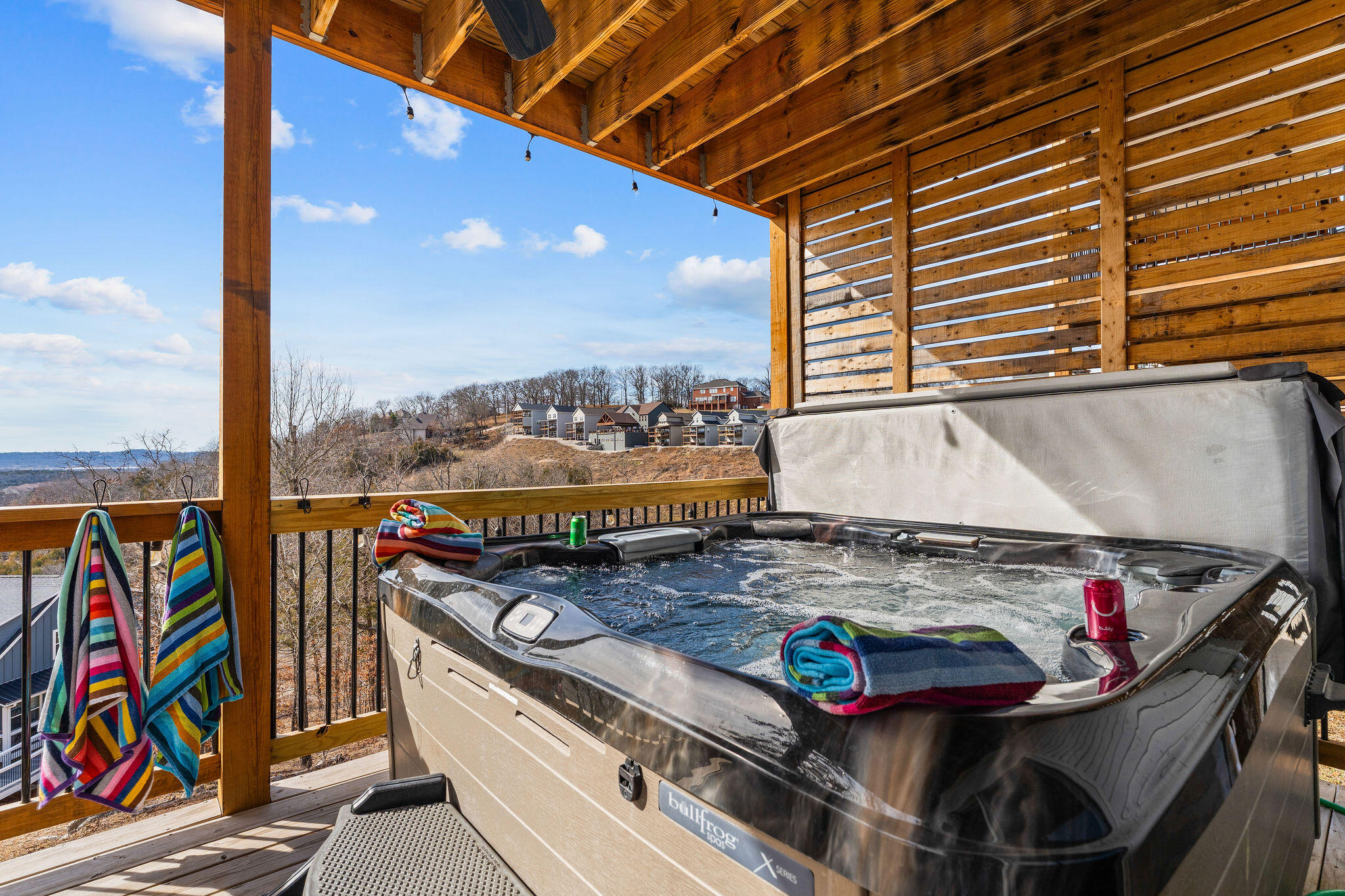 105 Chateau Mountain Drive Property Photo 46