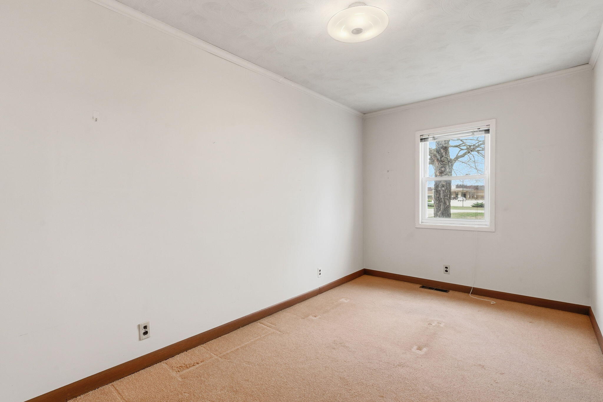 3916 South Springfield Avenue Property Photo 16