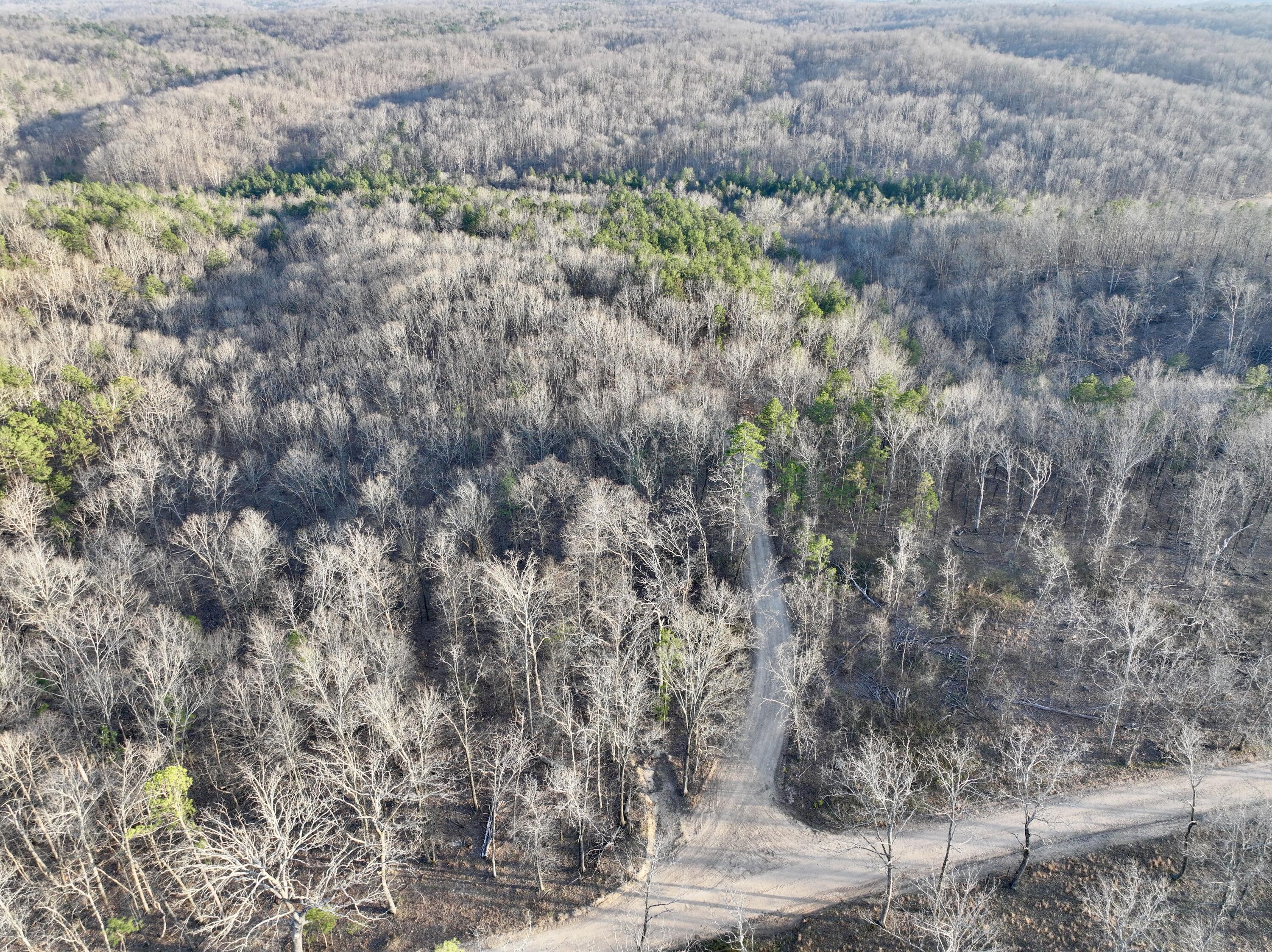 741 Co Rd 574 Property Photo 59