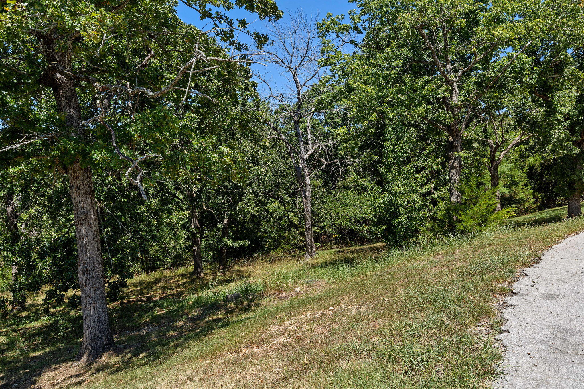 Lot 51a Oleary Drive Property Photo 13