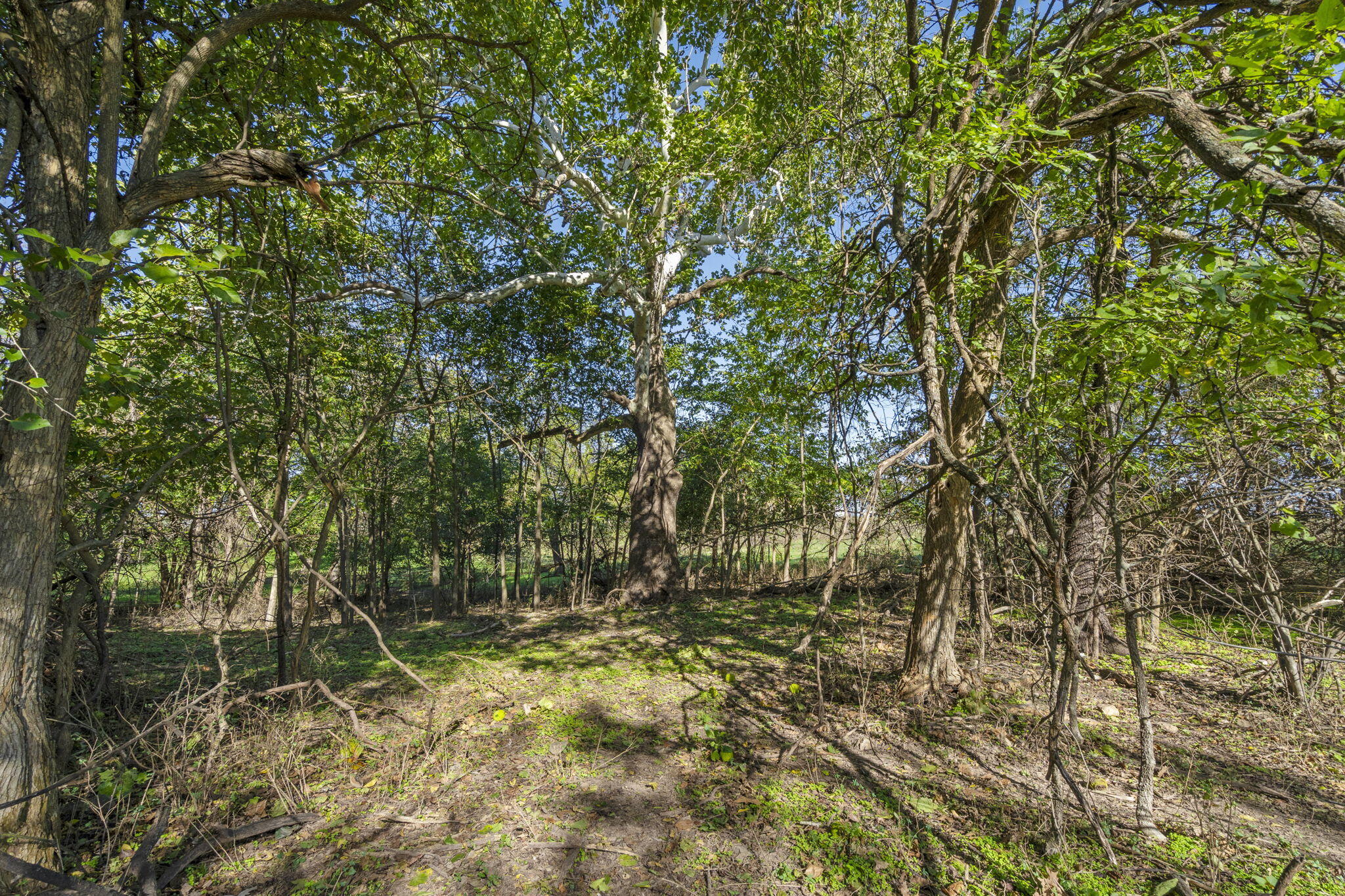3259 West Farm Rd 60 Property Photo 70