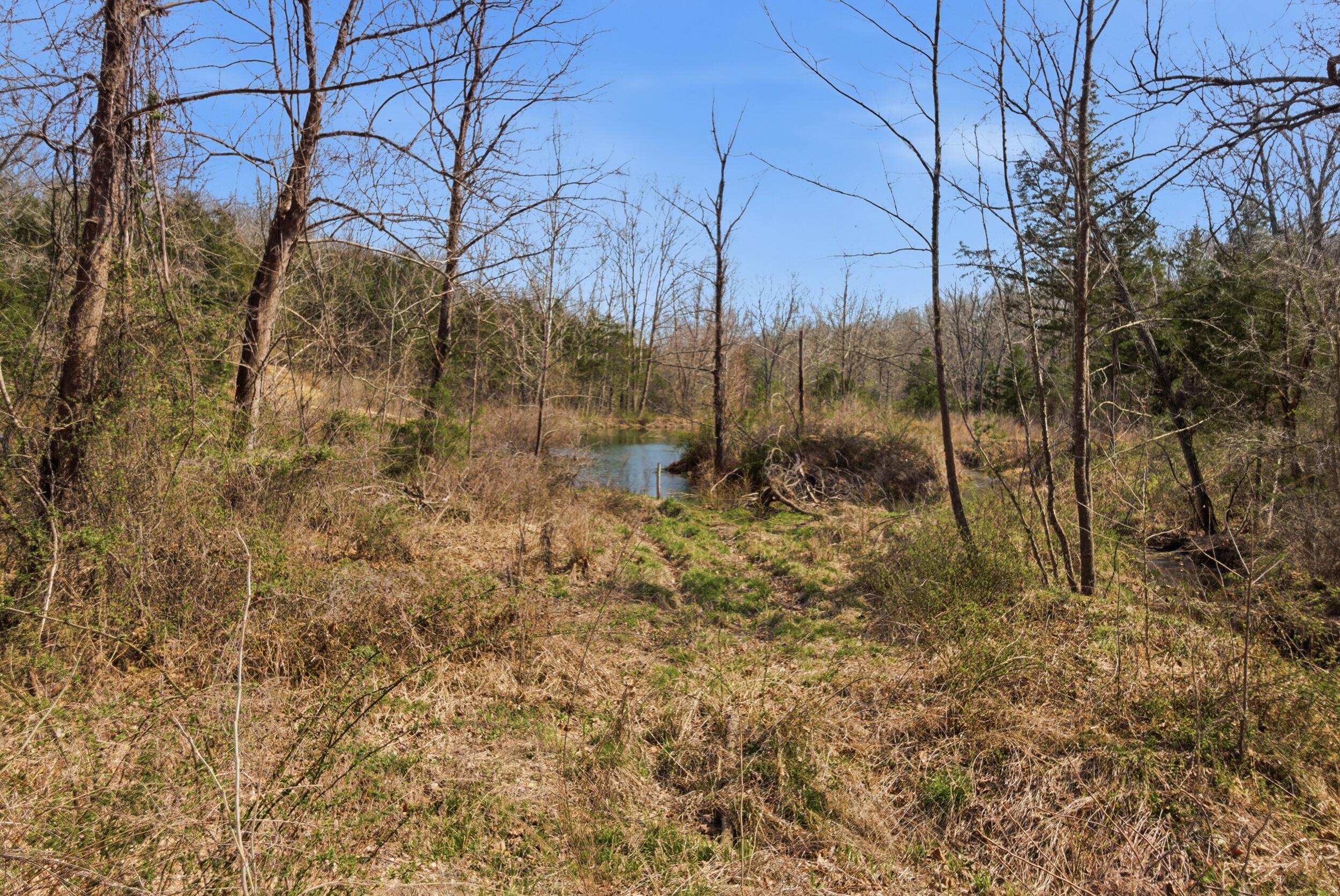 2480 County Road 317 Property Photo 16