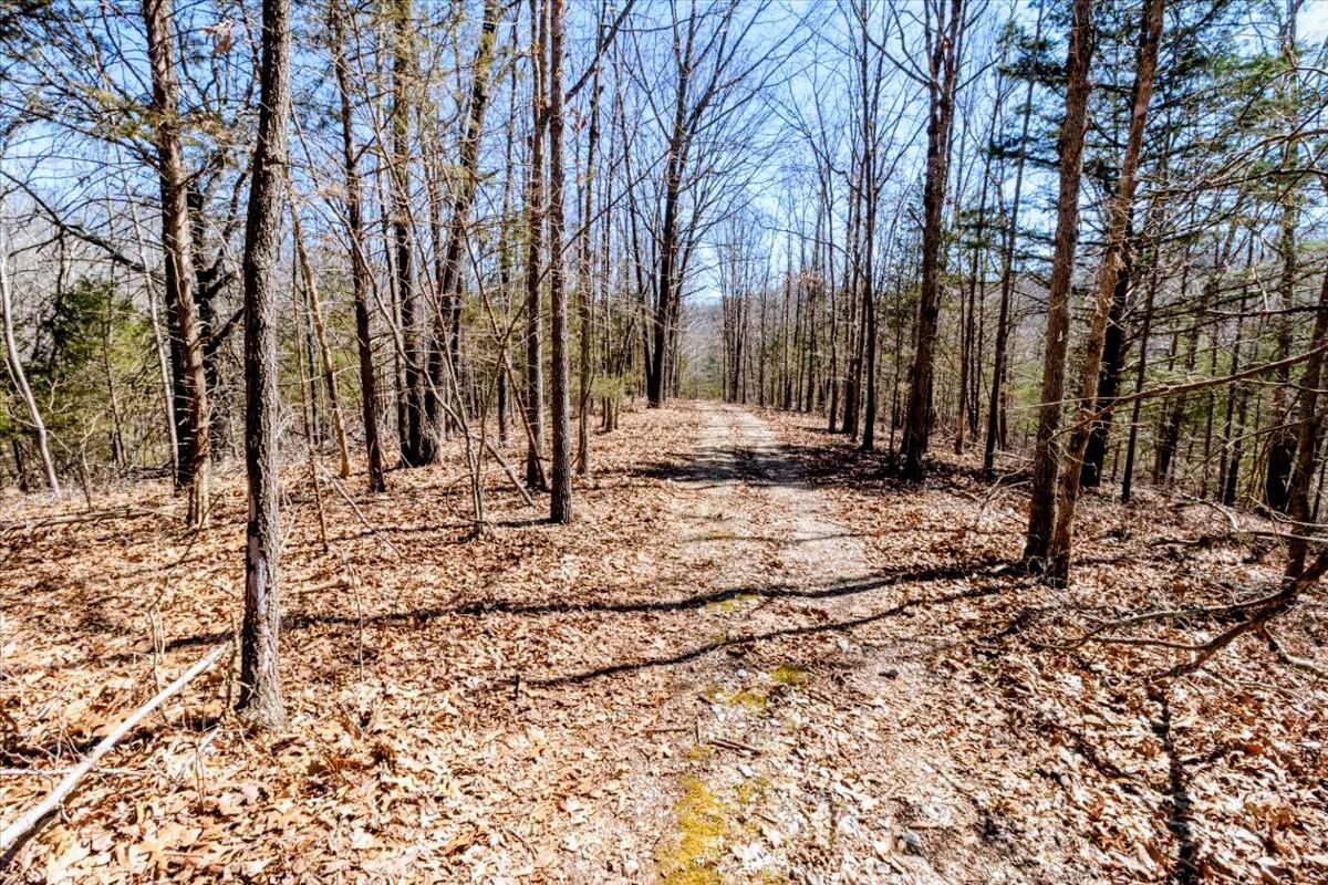 2480 County Road 317 Property Photo 57