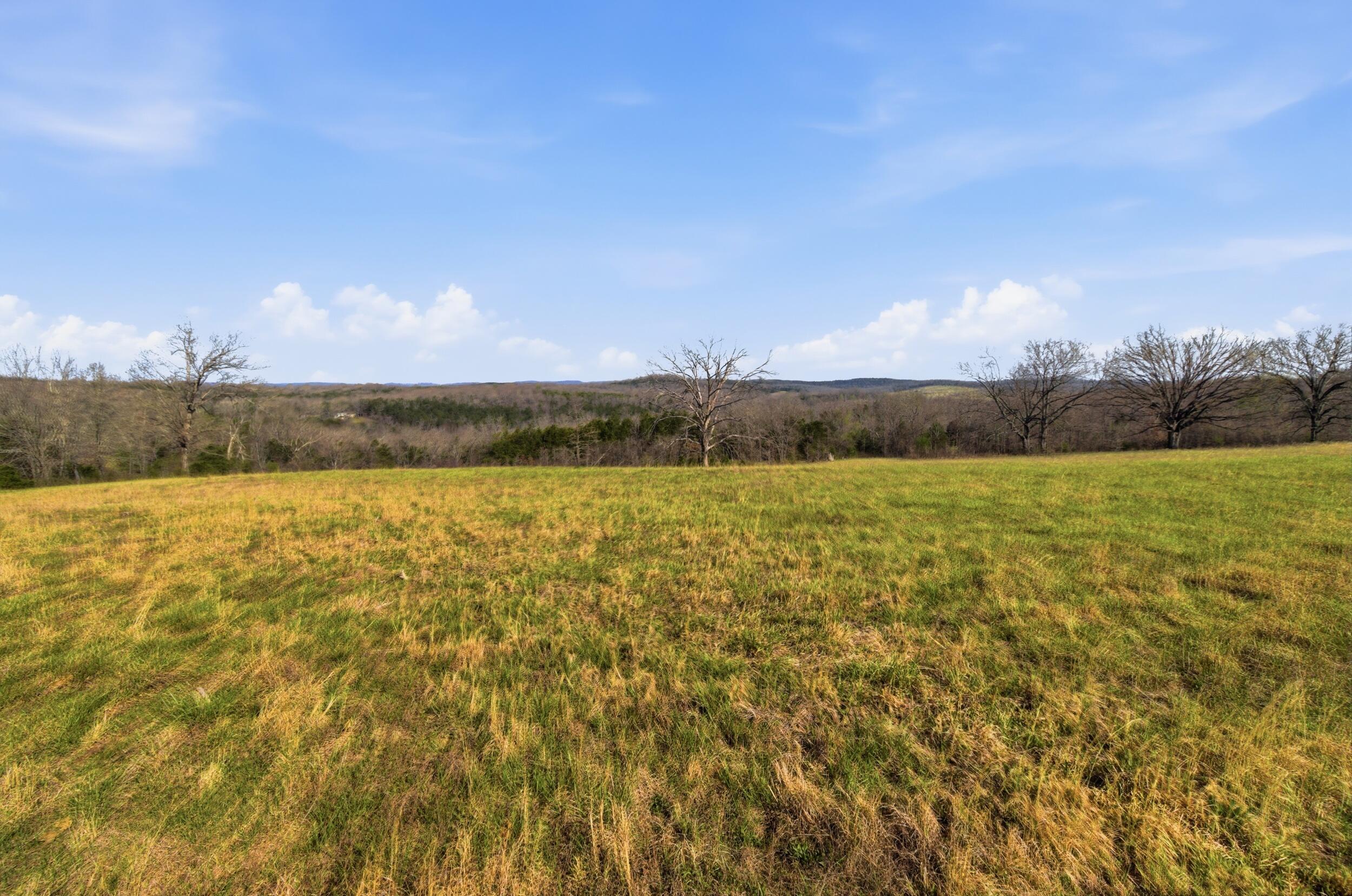 557 Hagewood Lane Property Photo 43