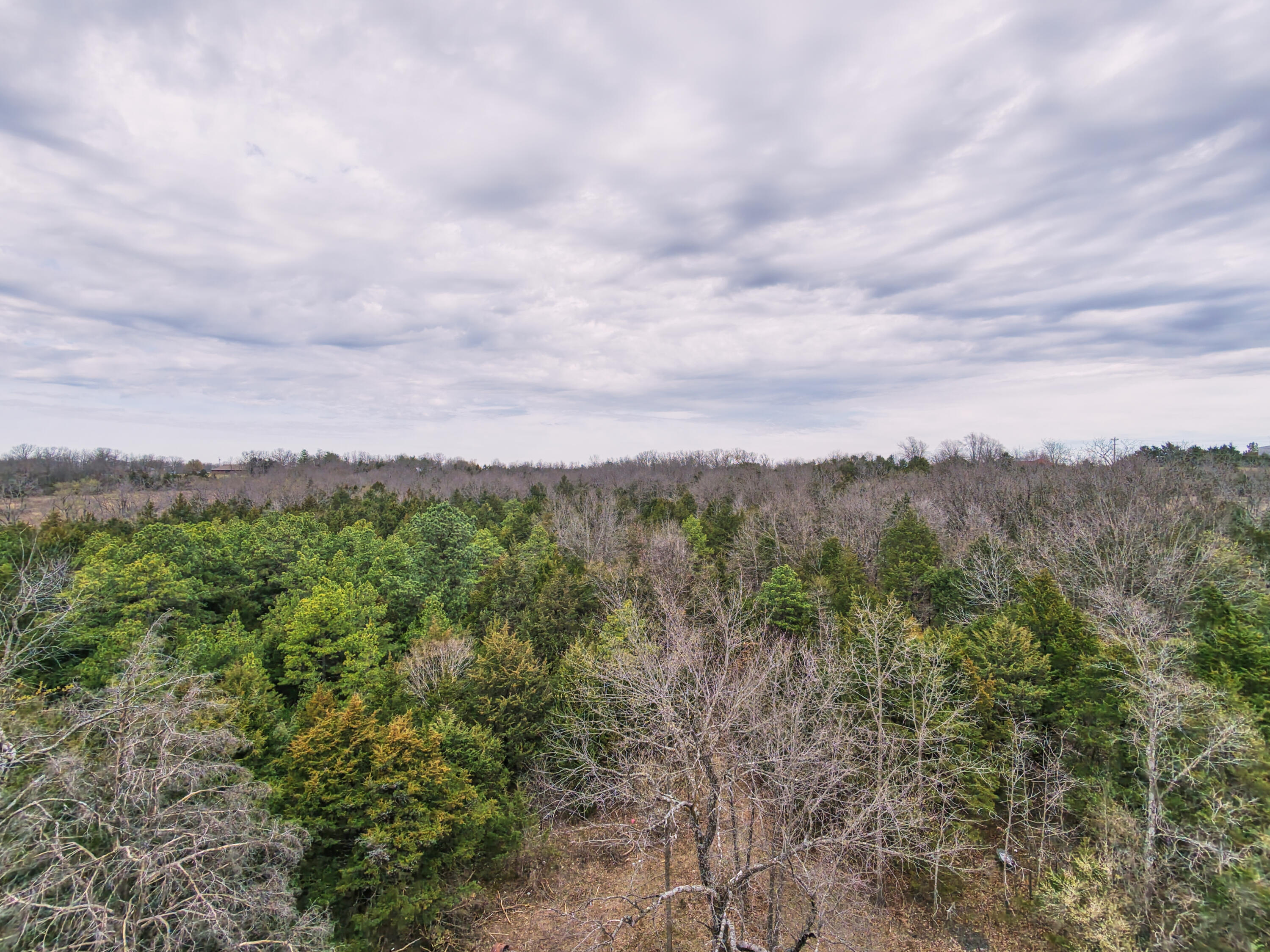 11239 Stave Mill Road Property Photo 3