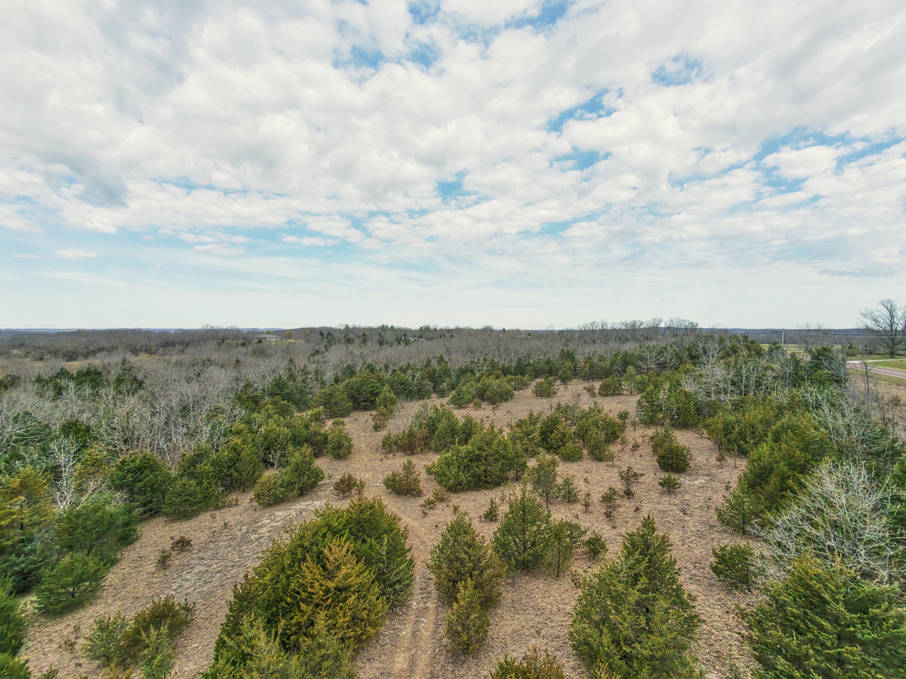 11239 Stave Mill Road Property Photo 5