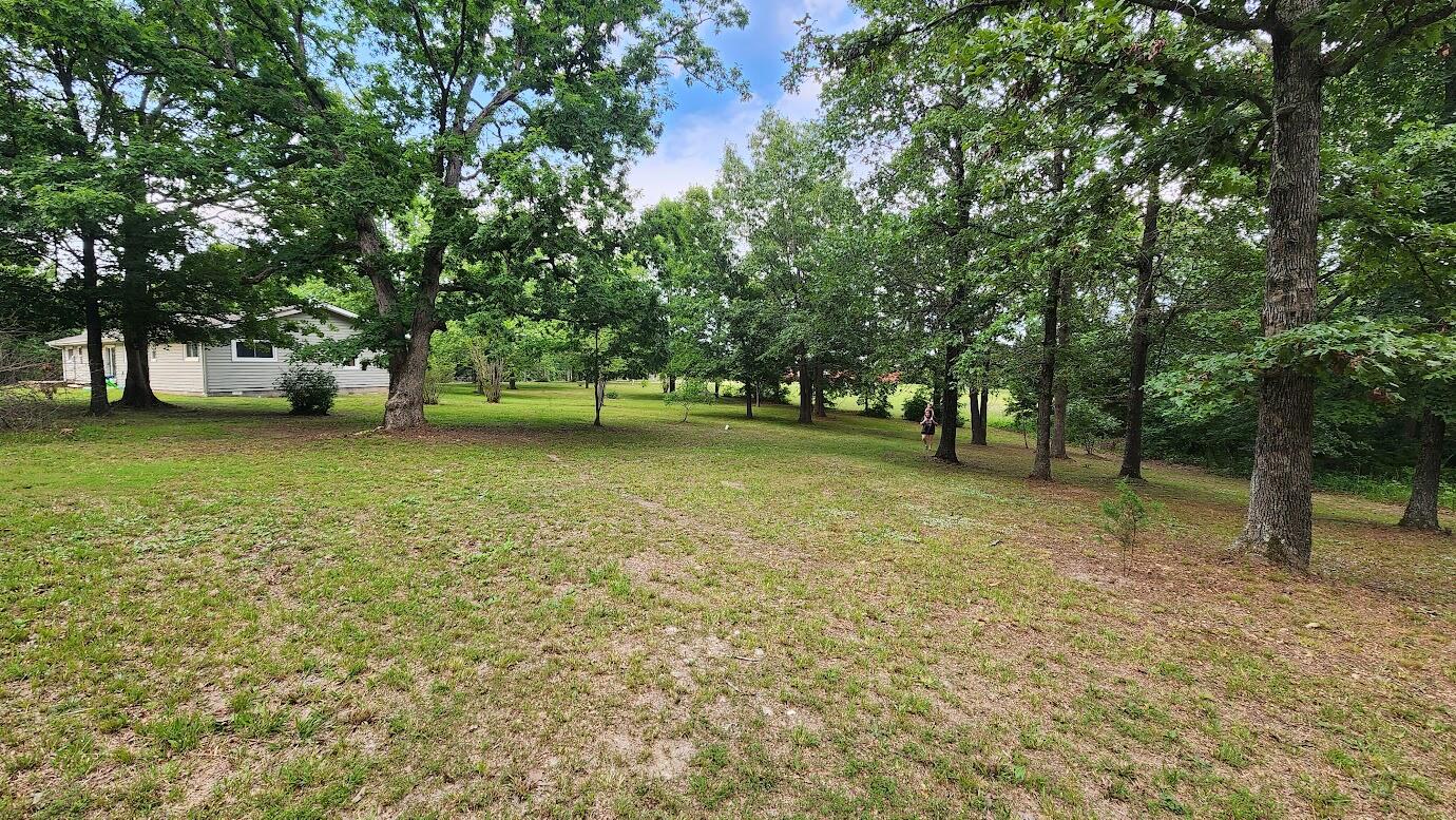 2066 State Highway Jj Property Photo 4