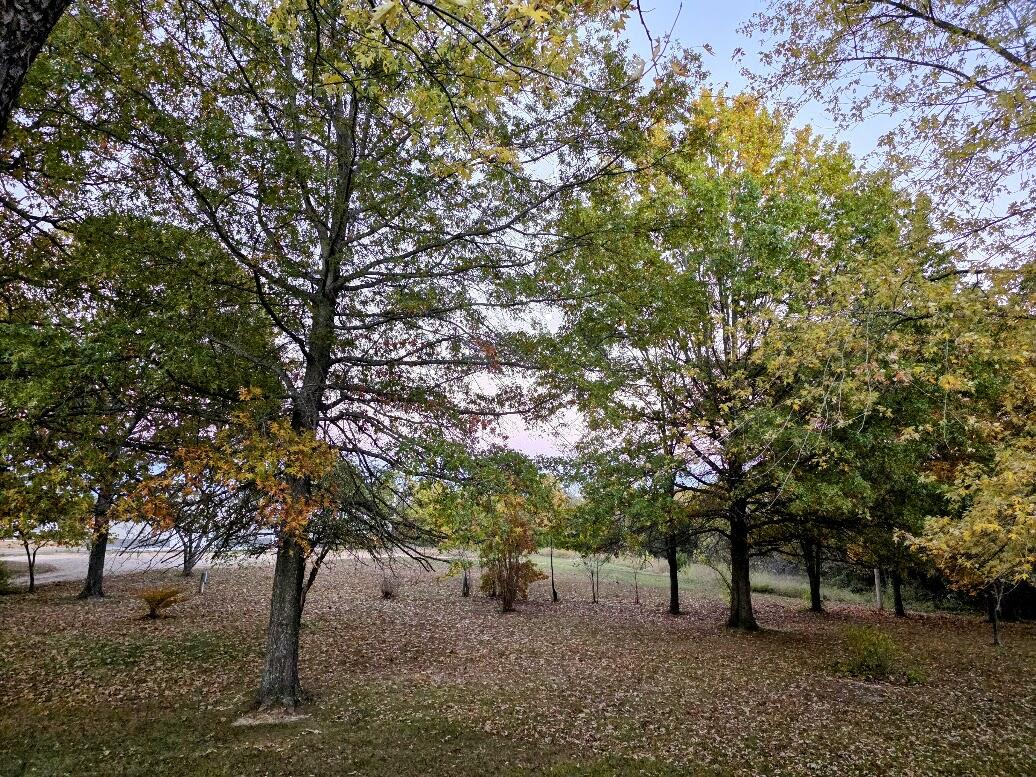 2066 State Highway Jj Property Photo 6