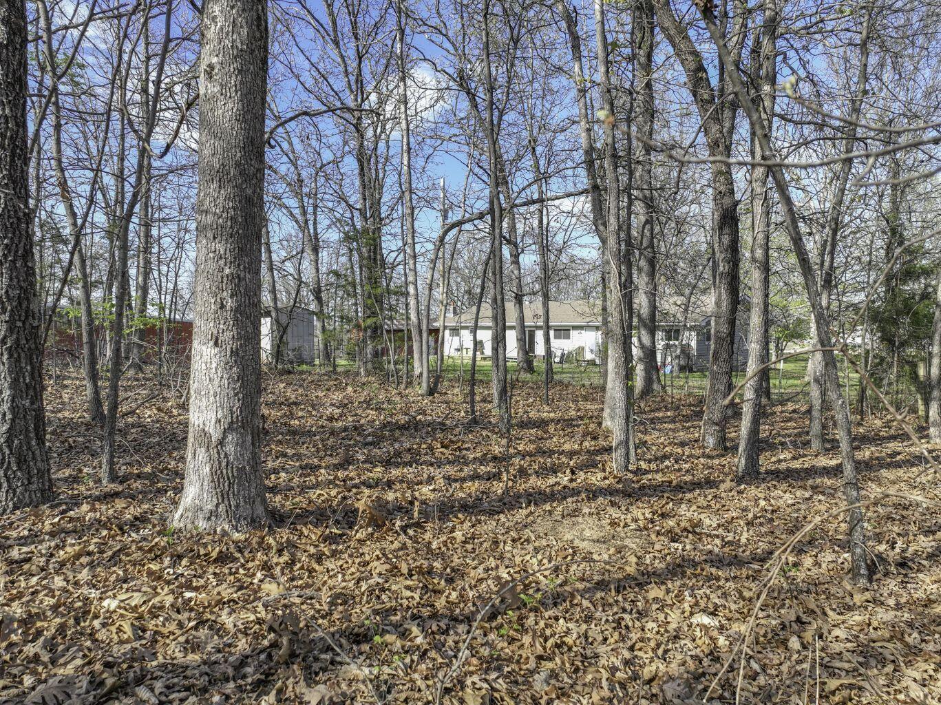 2066 State Highway Jj Property Photo 10