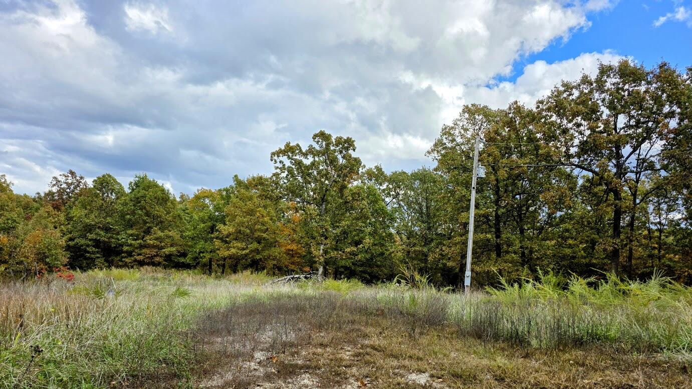 2066 State Highway Jj Property Photo 44