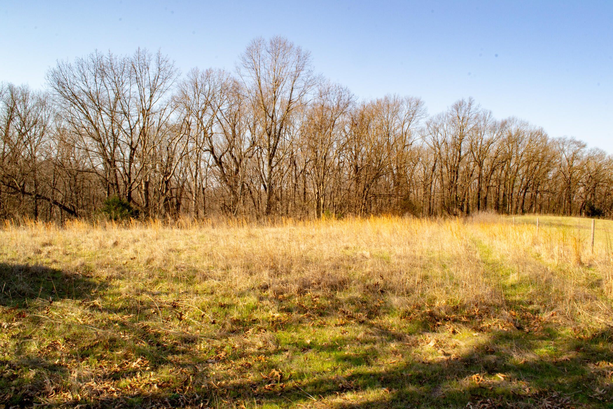 000 State Highway Uu Property Photo 13