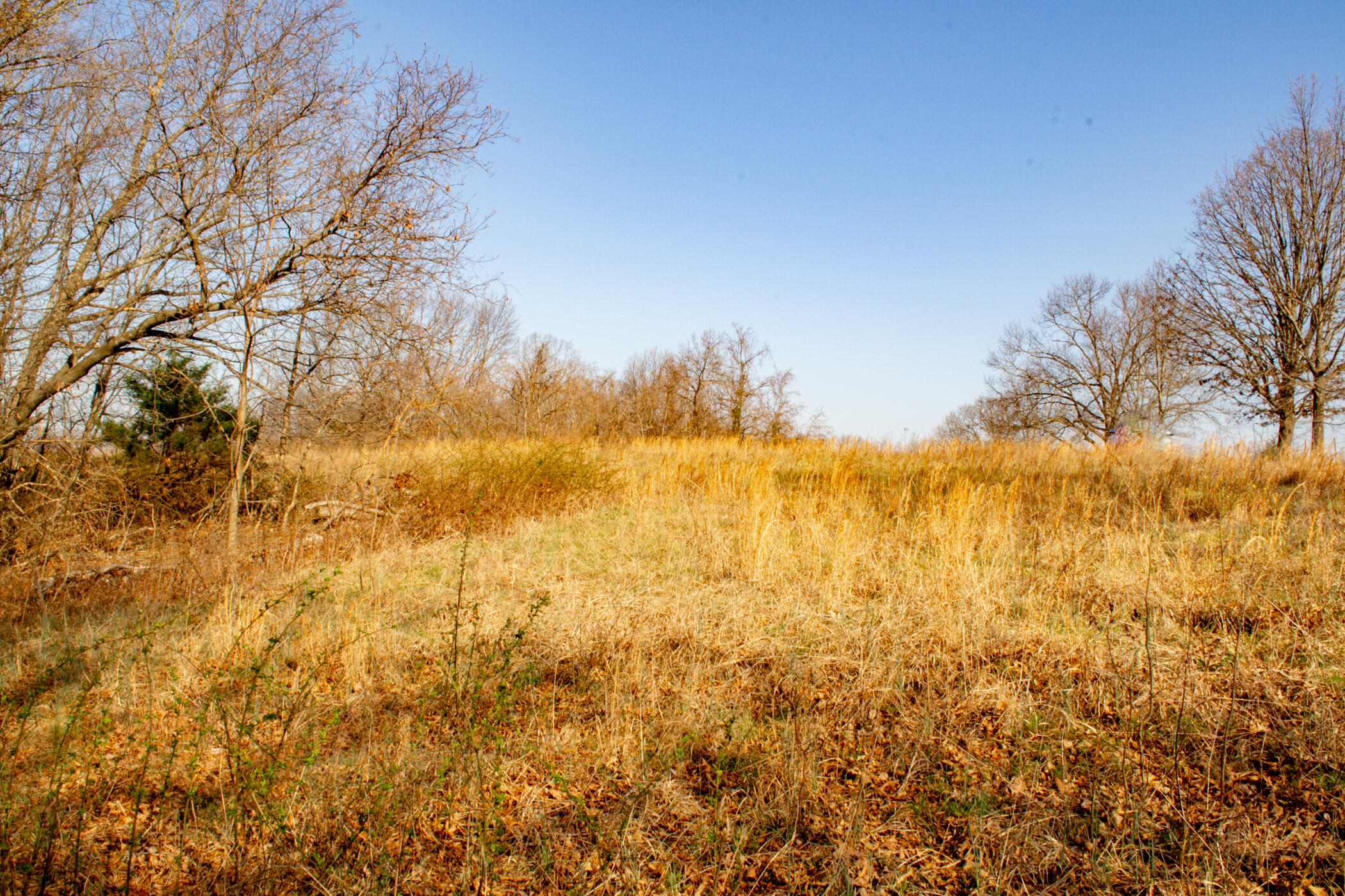 000 State Highway Uu Property Photo 16