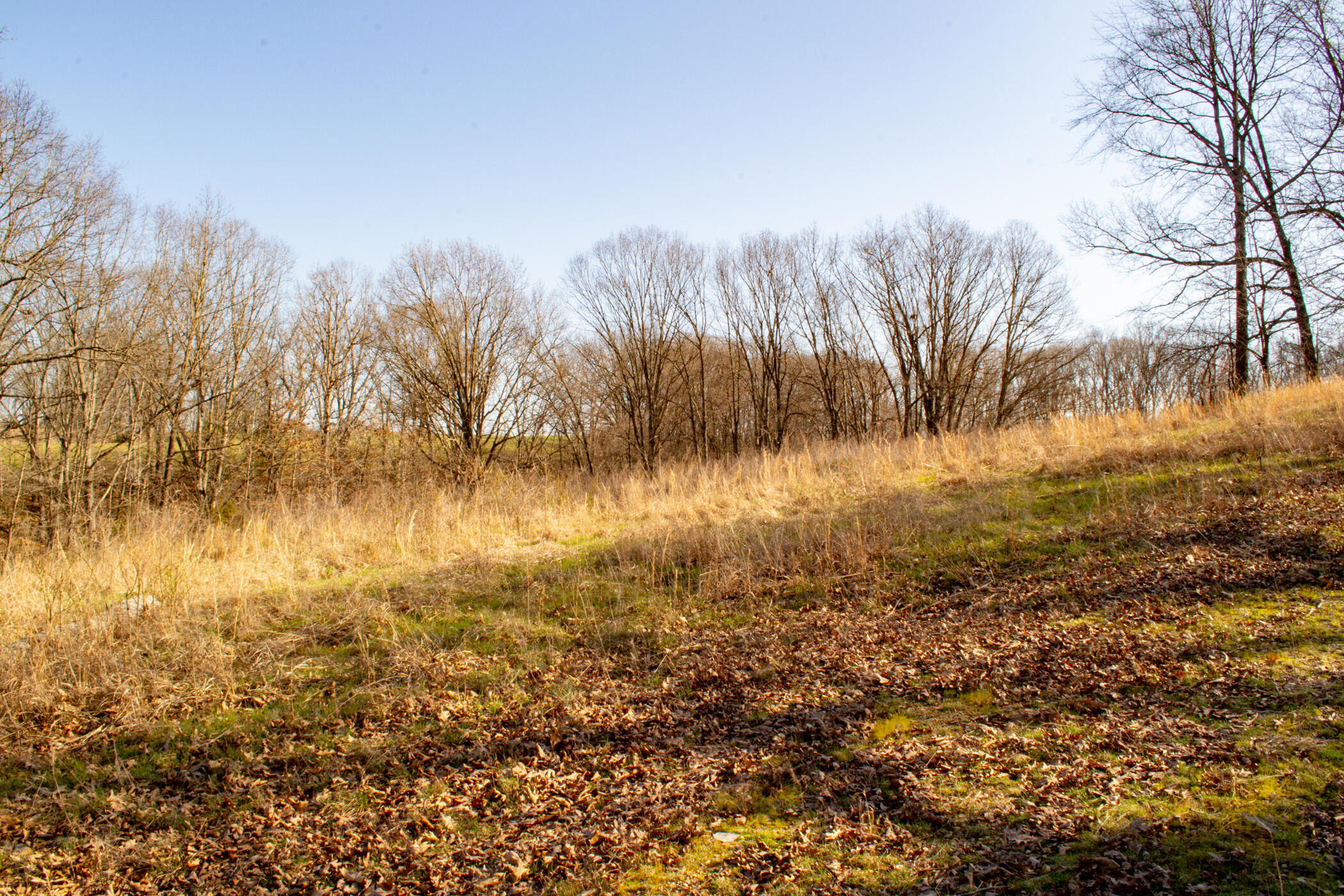 000 State Highway Uu Property Photo 17
