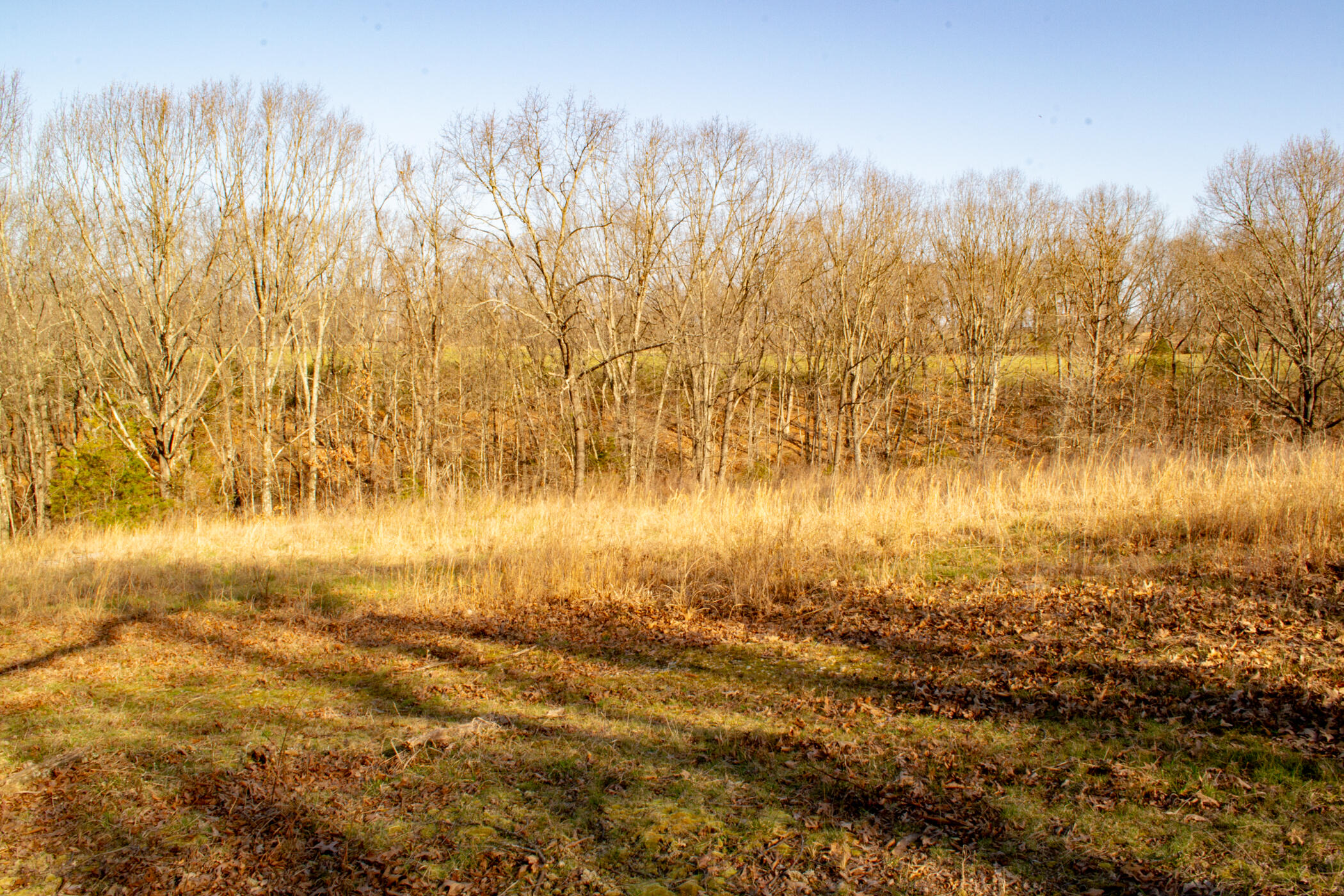000 State Highway Uu Property Photo 18