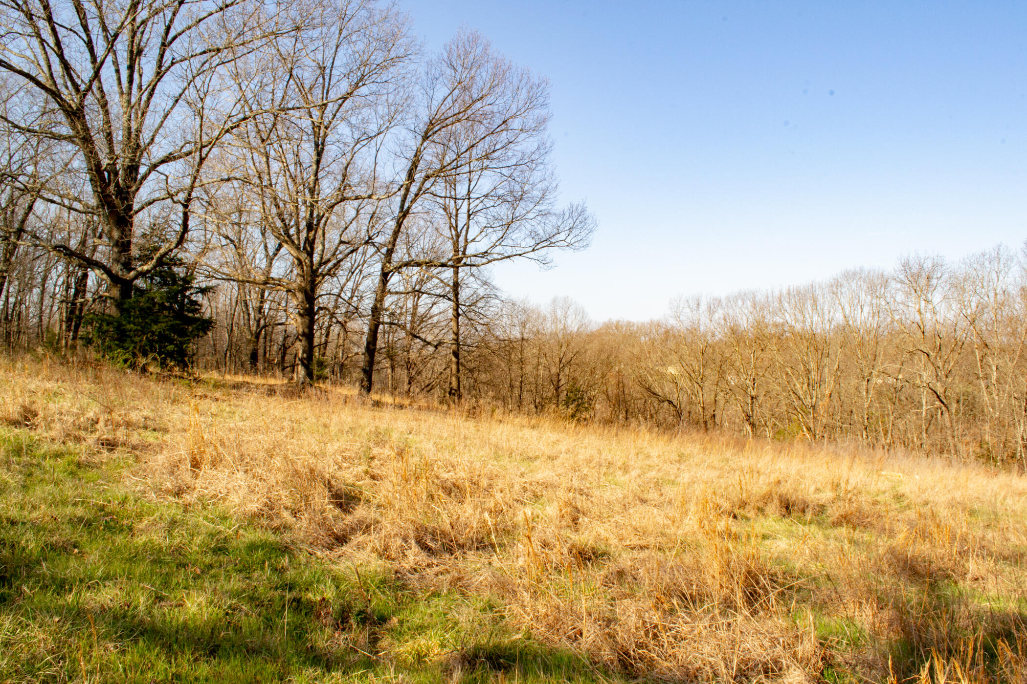 000 State Highway Uu Property Photo 19