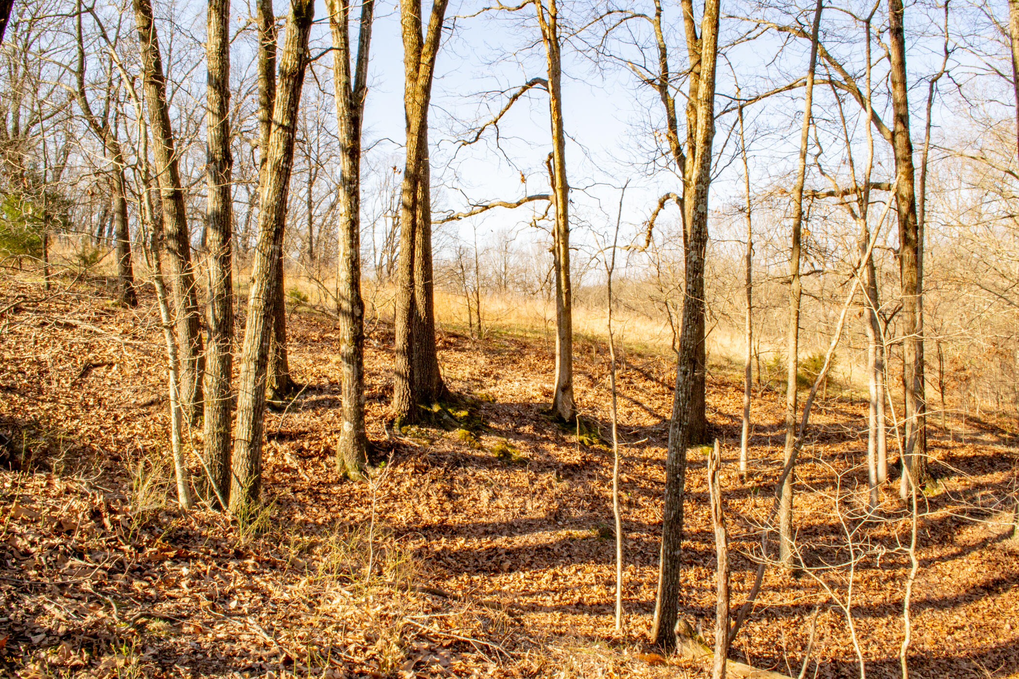 000 State Highway Uu Property Photo 20