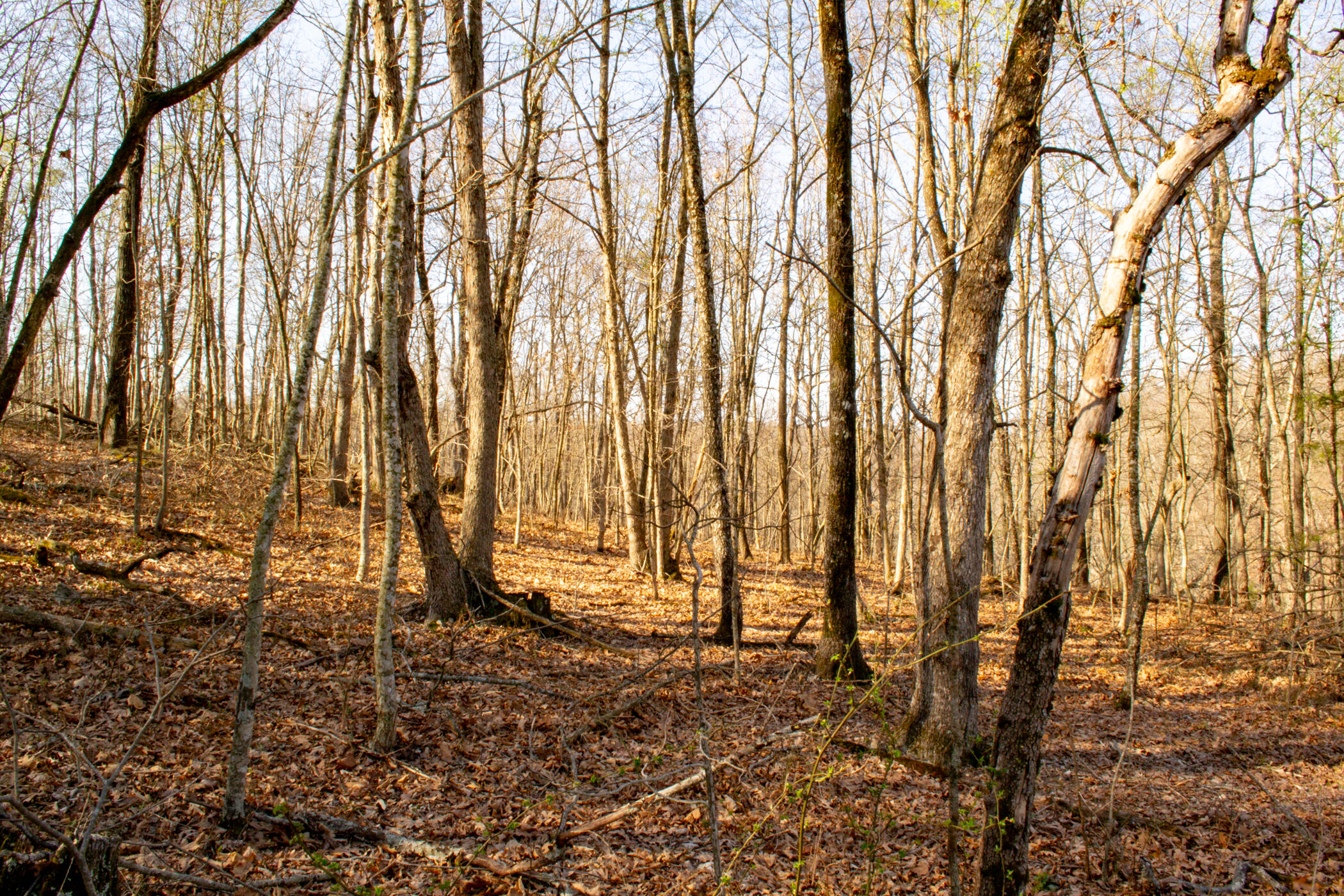 000 State Highway Uu Property Photo 21