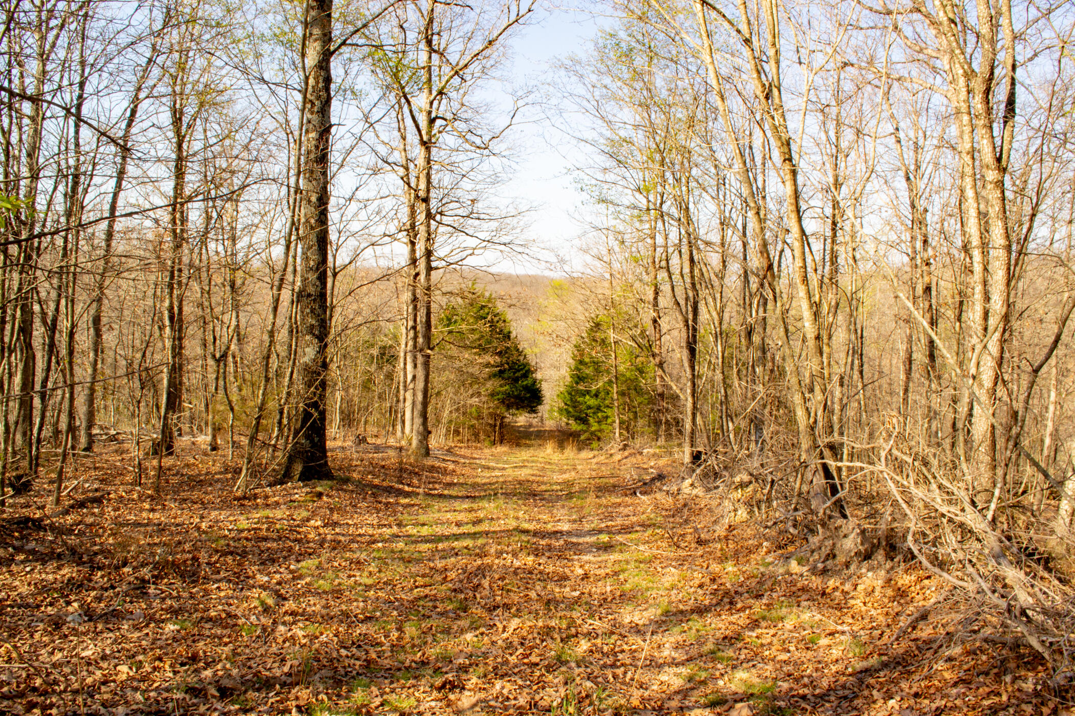 000 State Highway Uu Property Photo 22