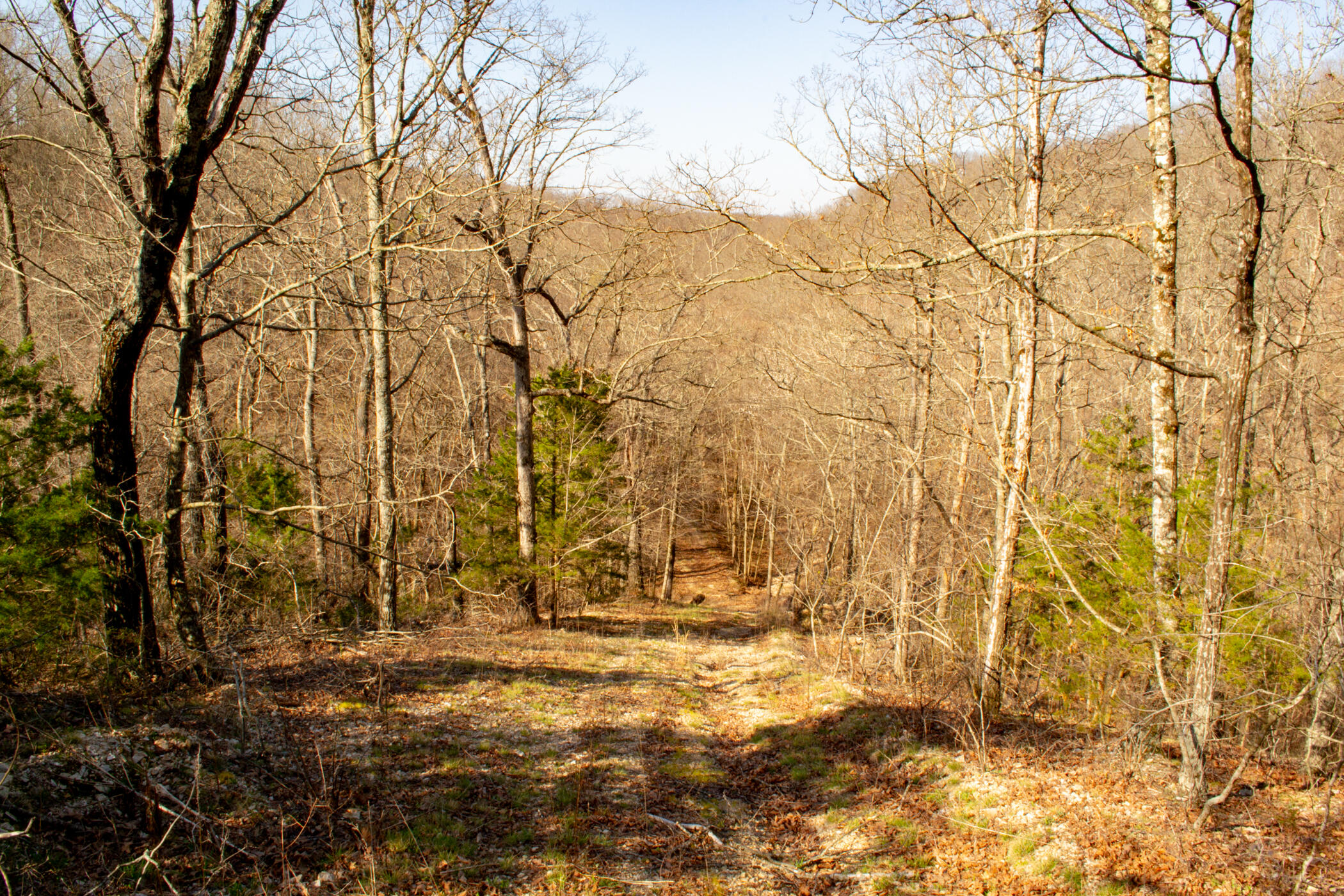000 State Highway Uu Property Photo 25