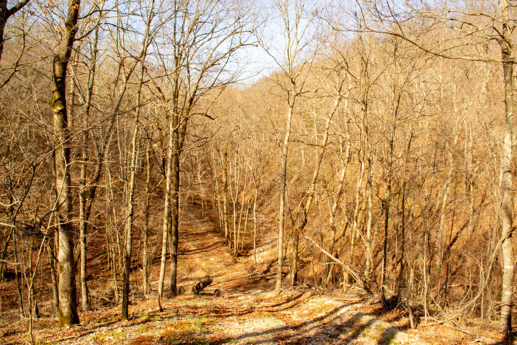 000 State Highway Uu Property Photo 26