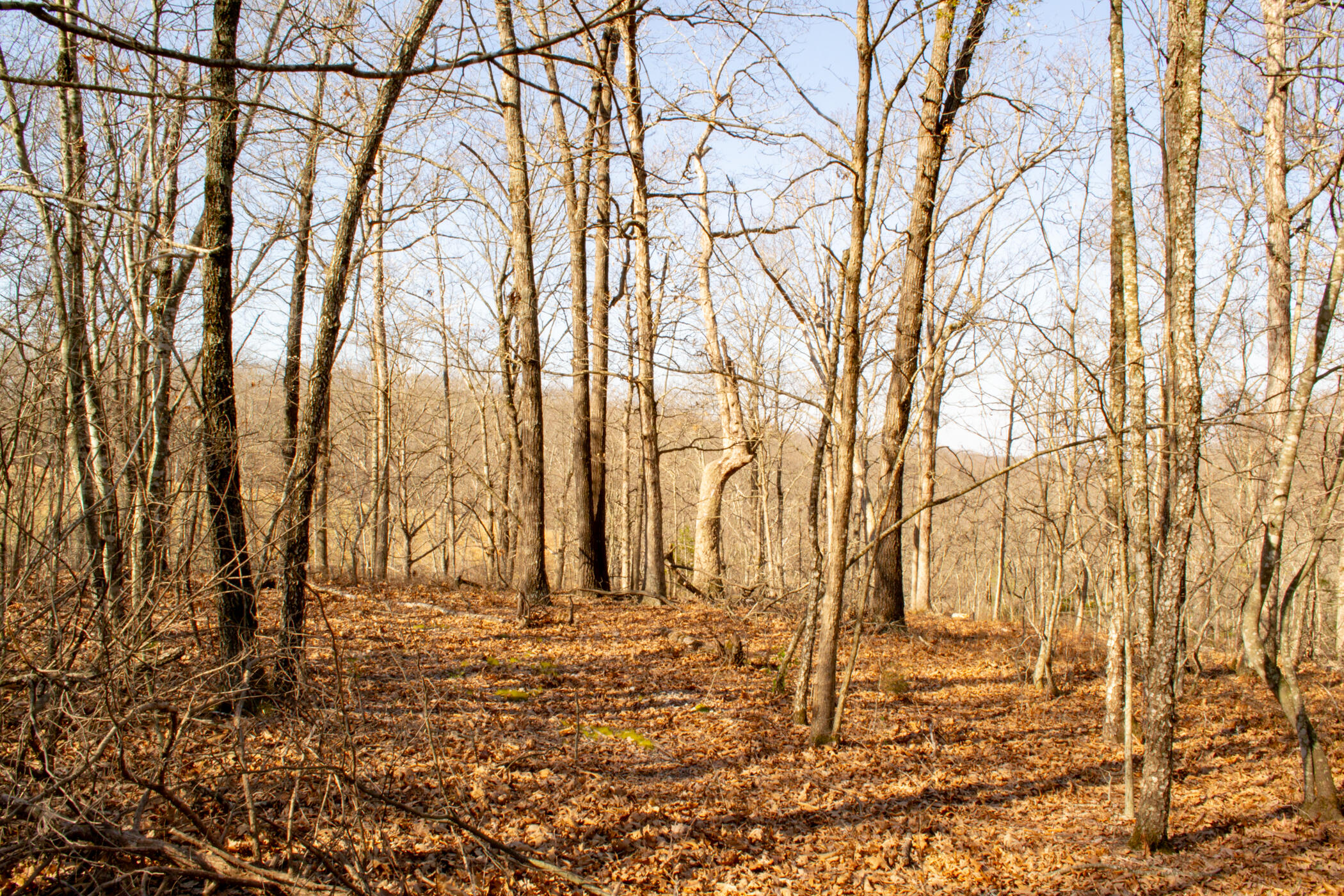 000 State Highway Uu Property Photo 31