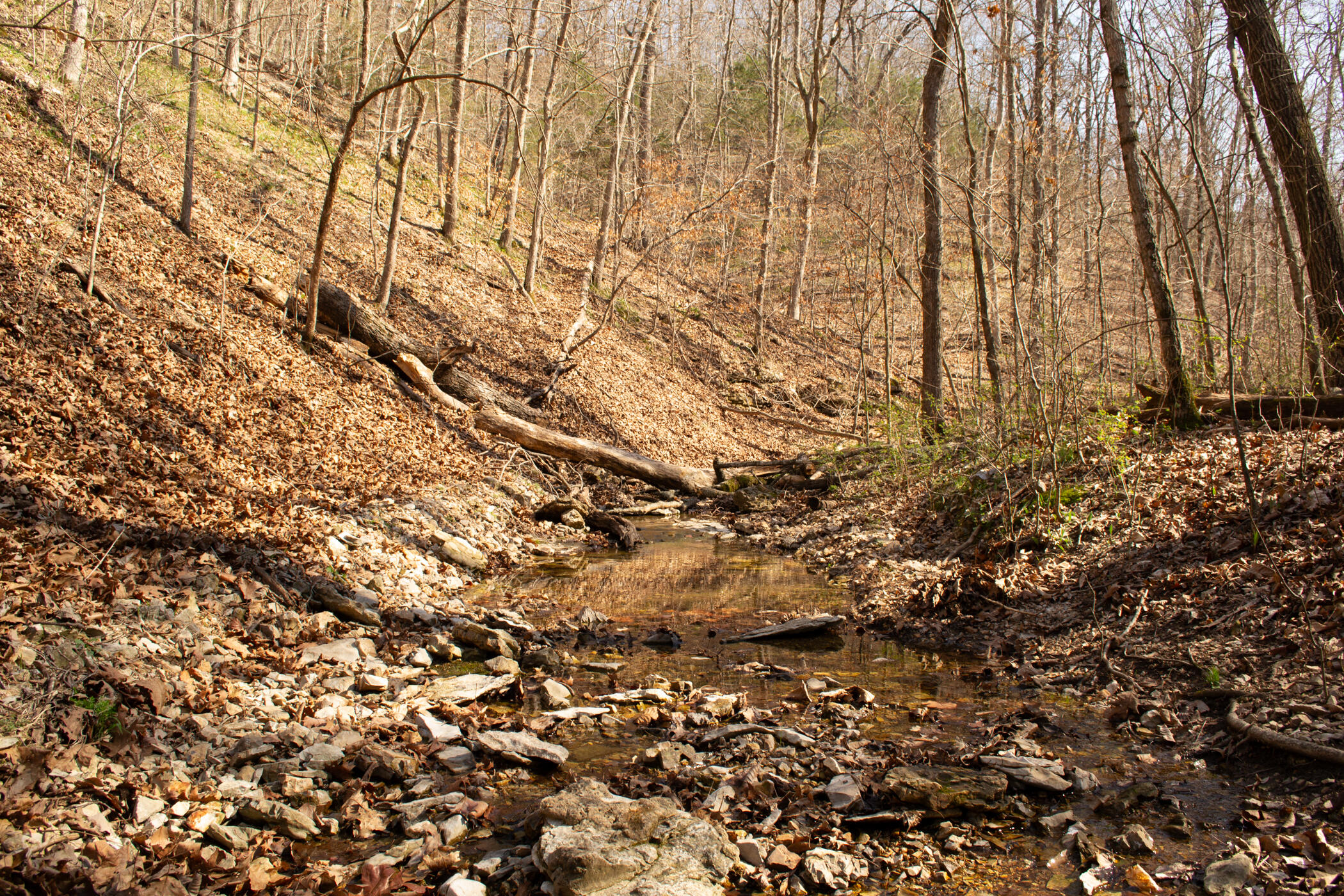 000 State Highway Uu Property Photo 34