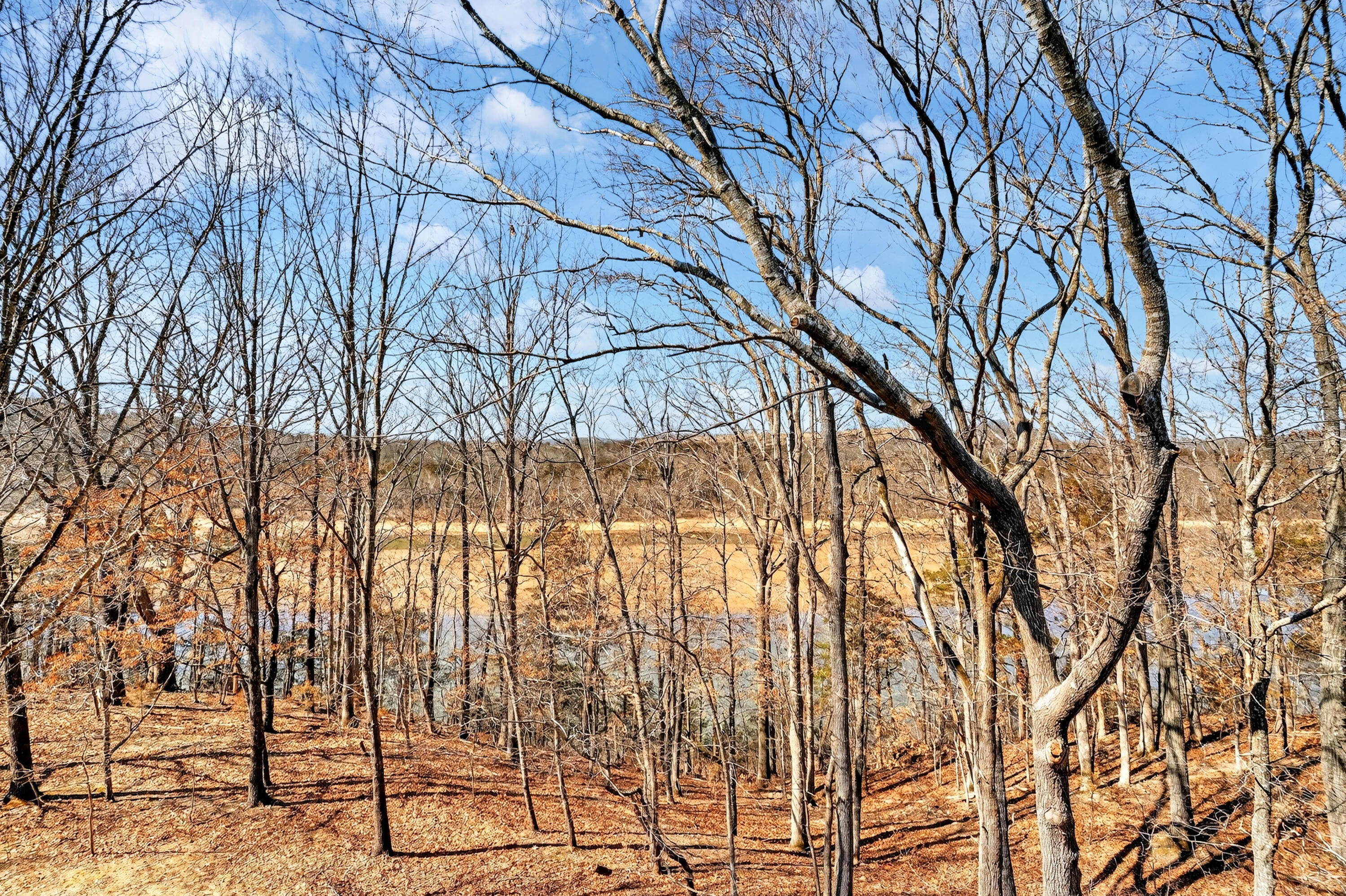 225 Bass Bend Trail Property Photo 66