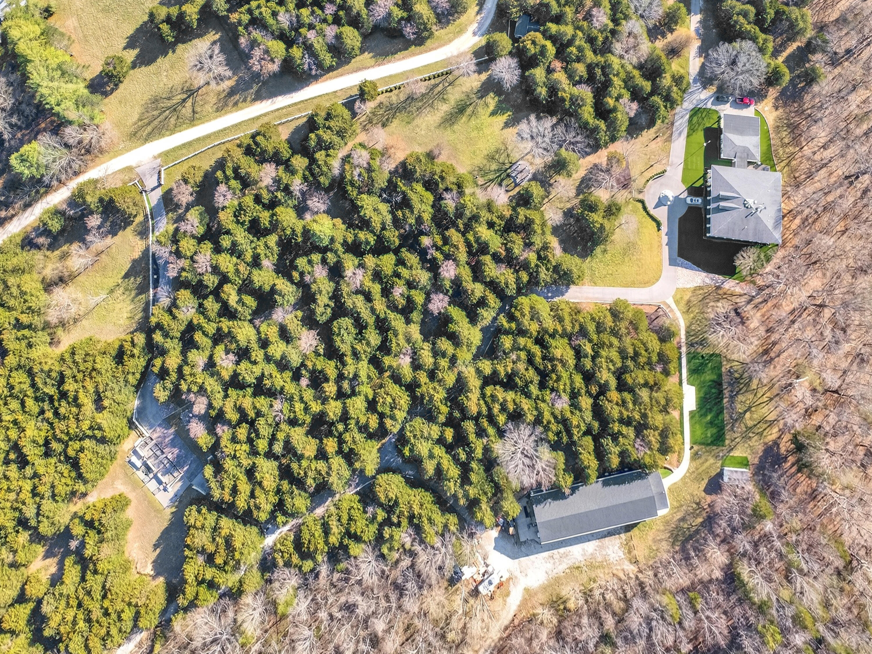 225 Bass Bend Trail Property Photo 166