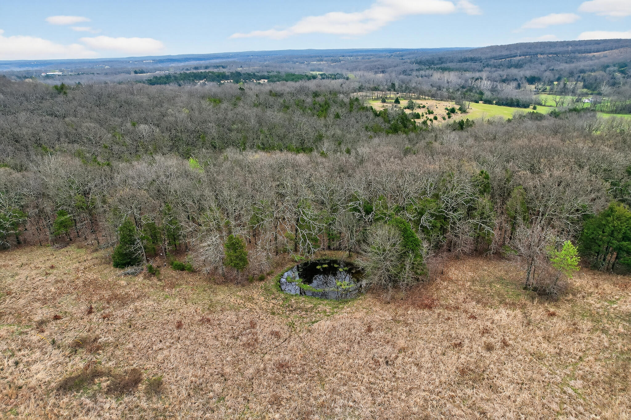 30050 State Highway T Property Photo 4