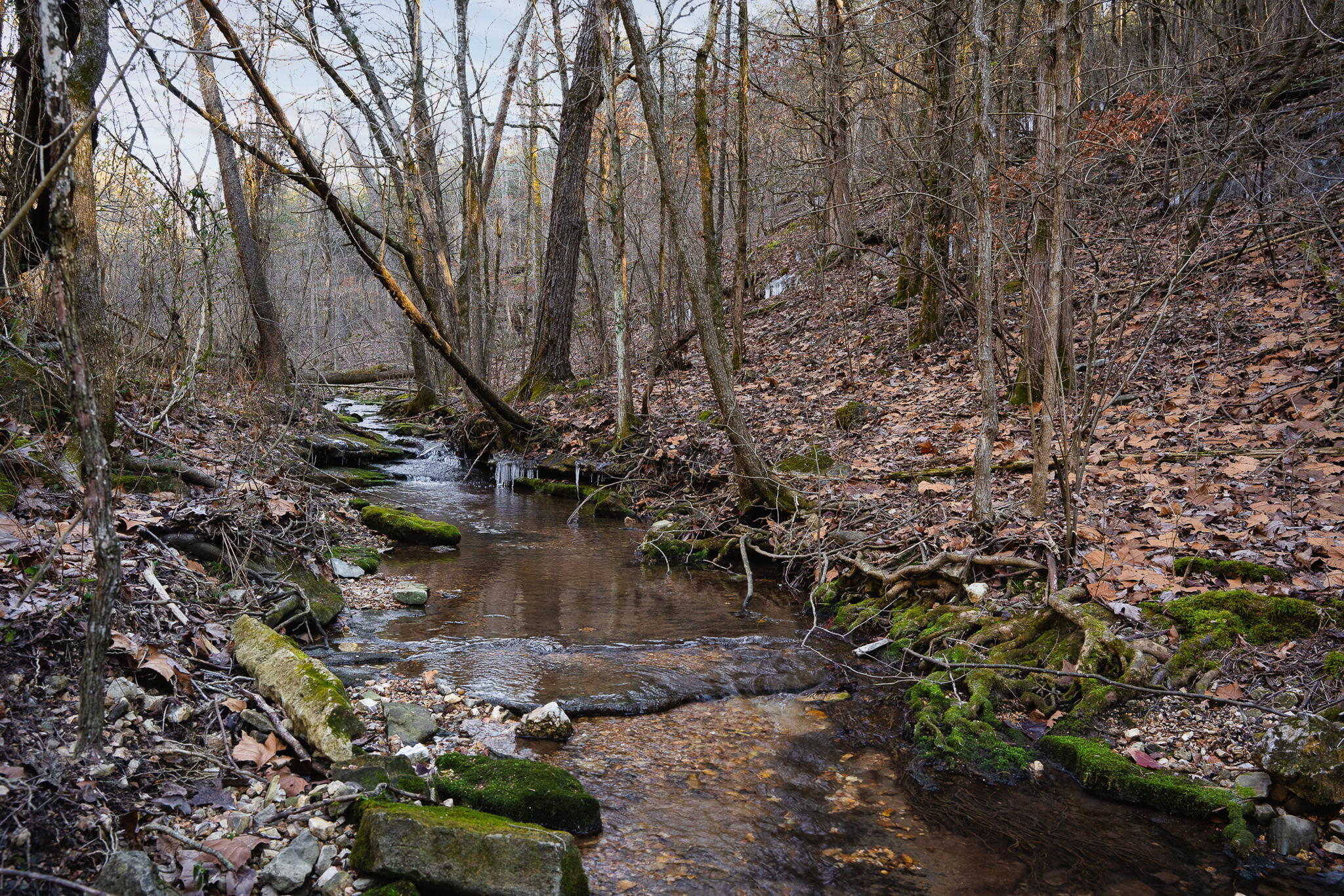 Tbd Northwoods Drive Property Photo 3