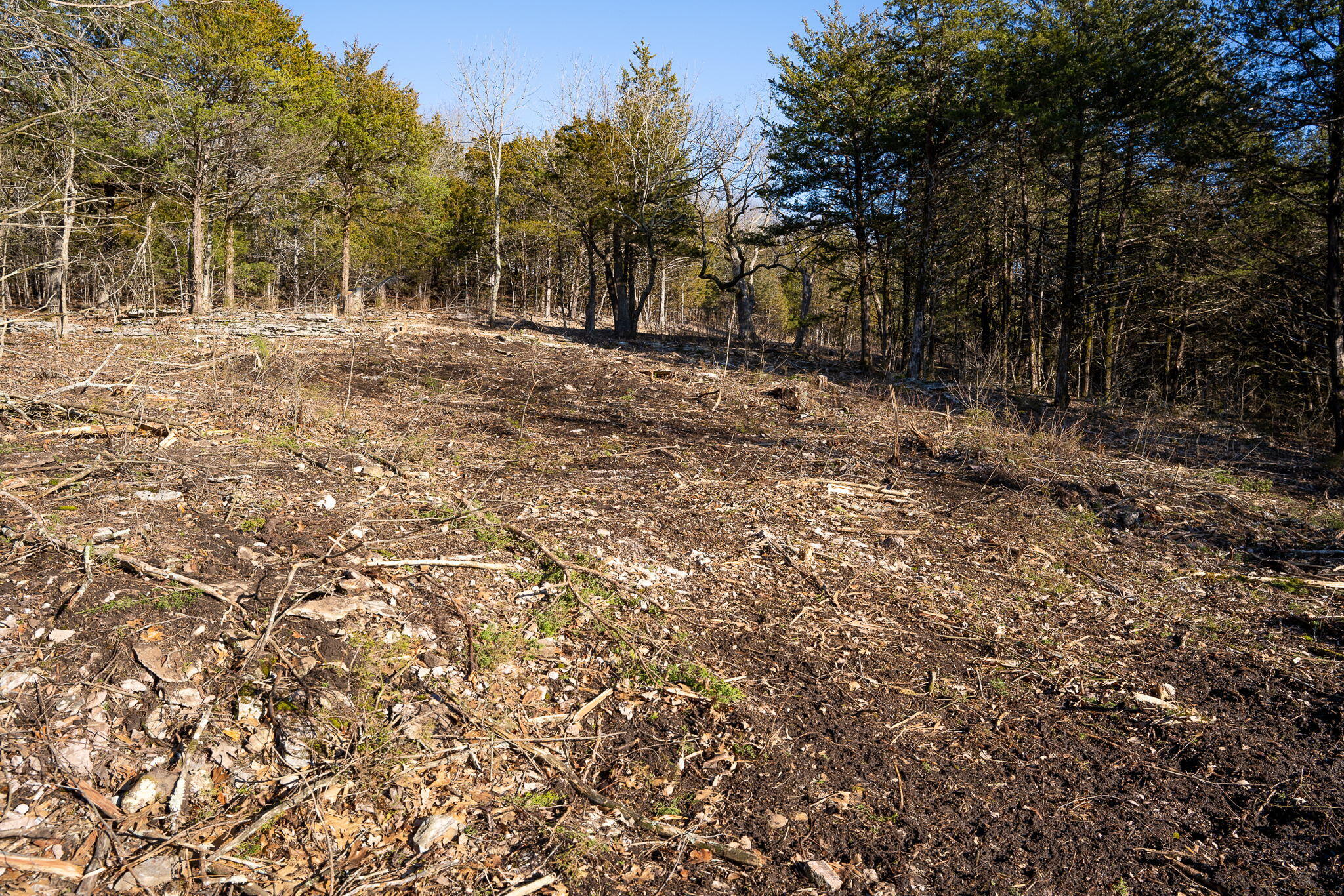 Tbd Northwoods Drive Property Photo 8