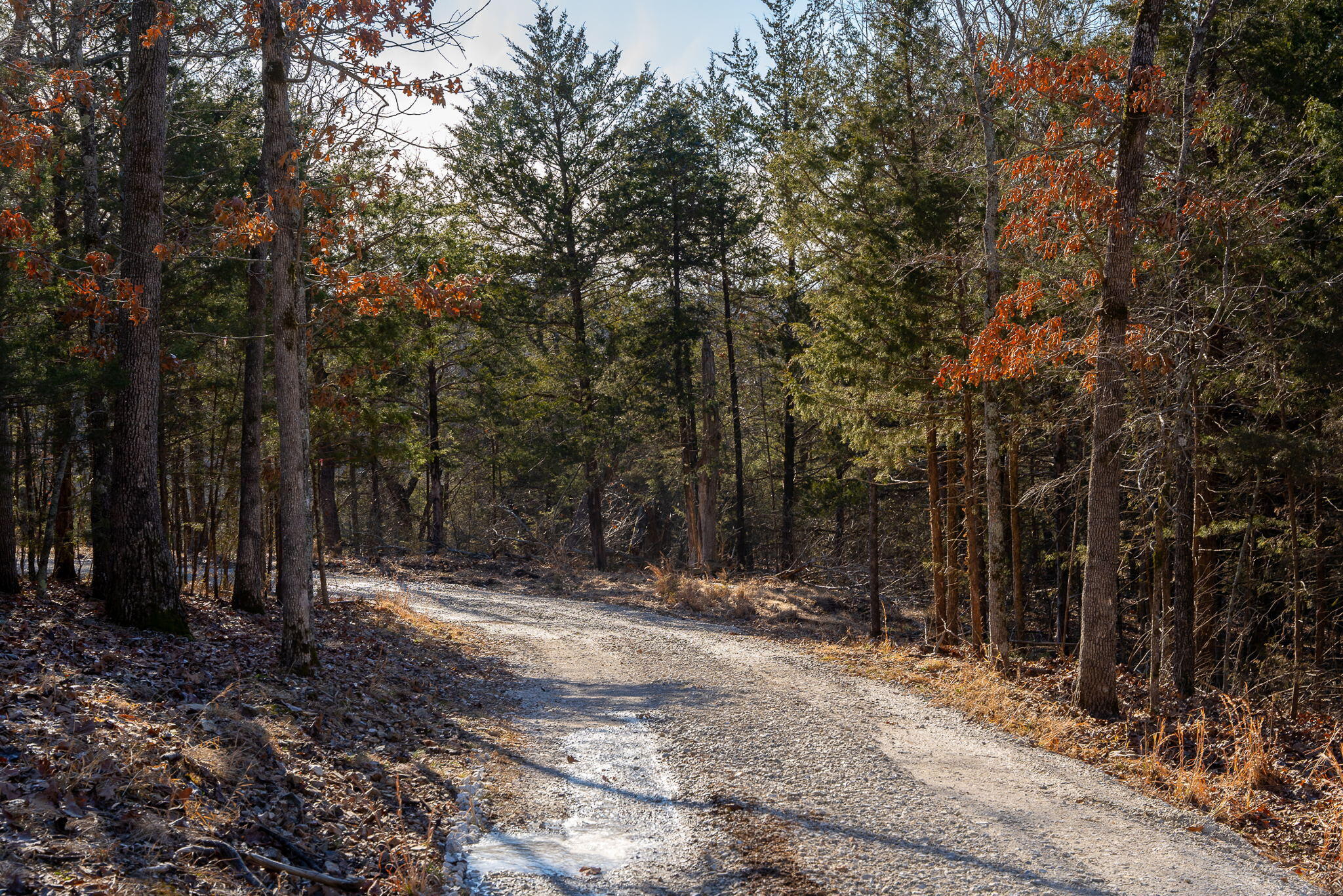 Tbd Northwoods Drive Property Photo 12