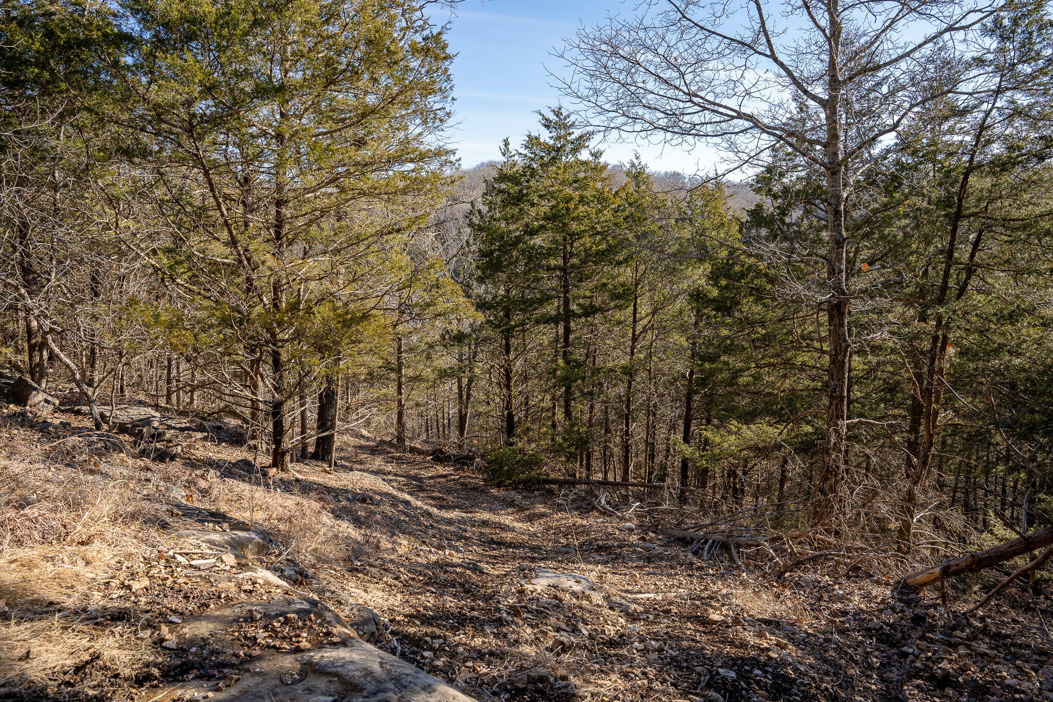Tbd Northwoods Drive Property Photo 15