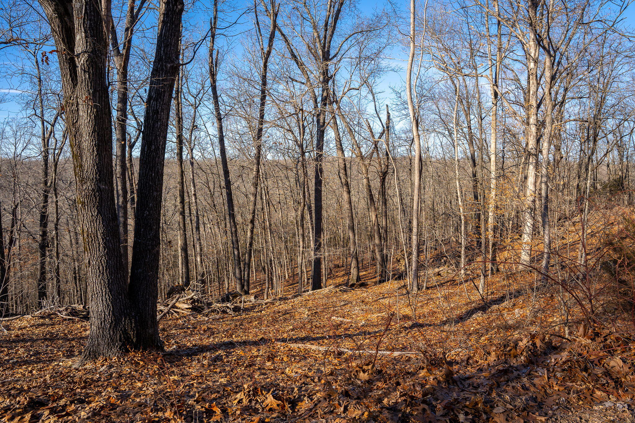 Tbd Northwoods Drive Property Photo 16