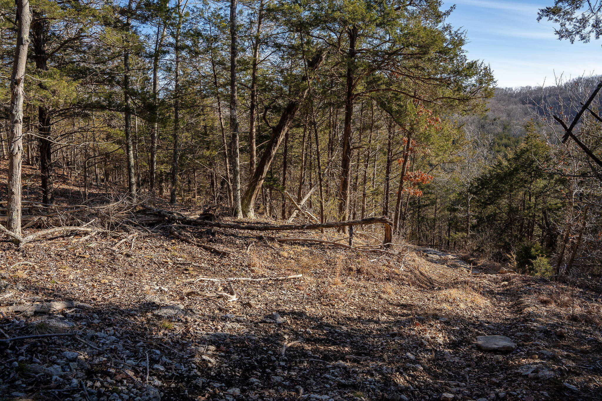 Tbd Northwoods Drive Property Photo 17
