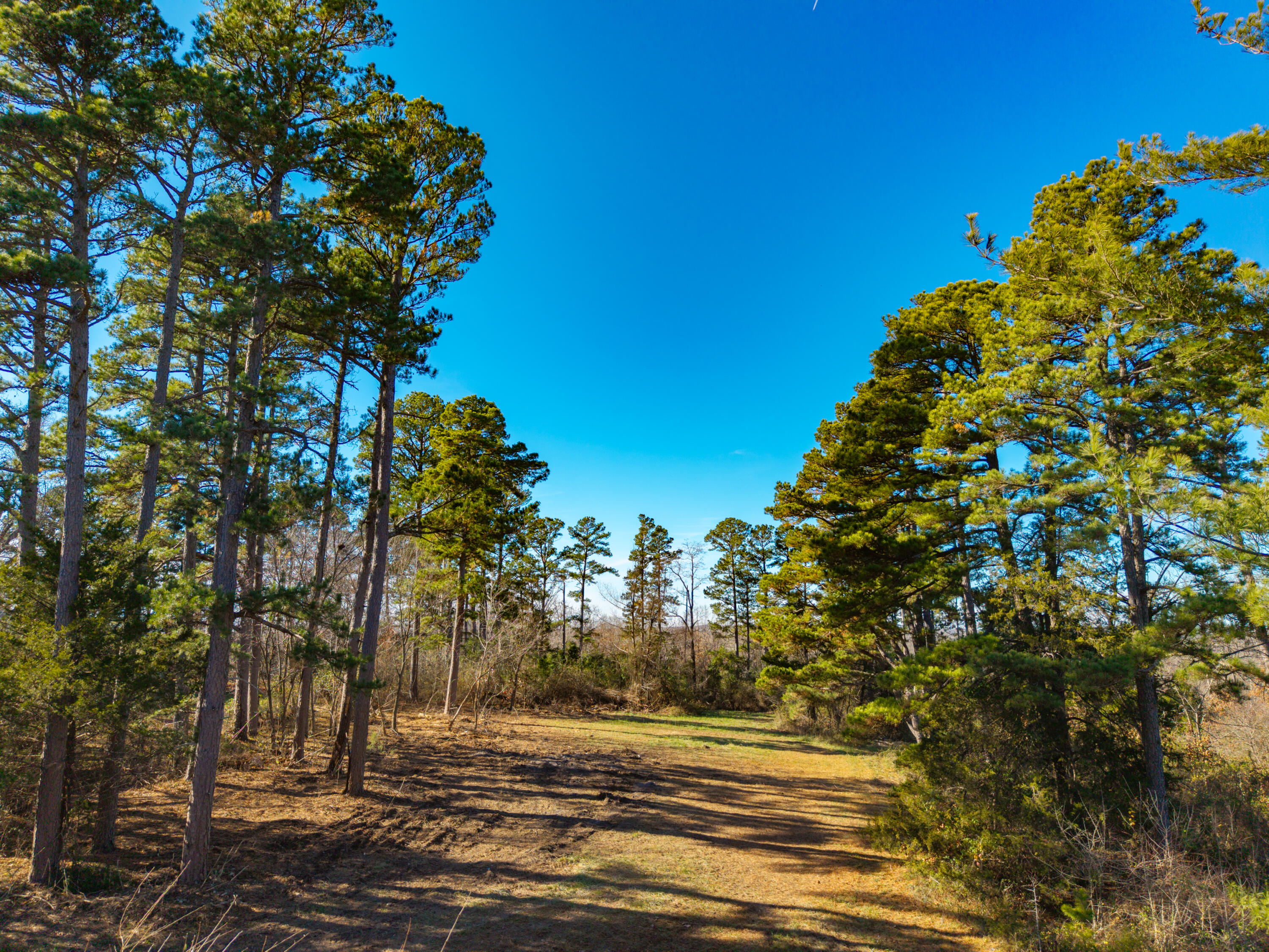 14817 Malberg Road Property Photo 33