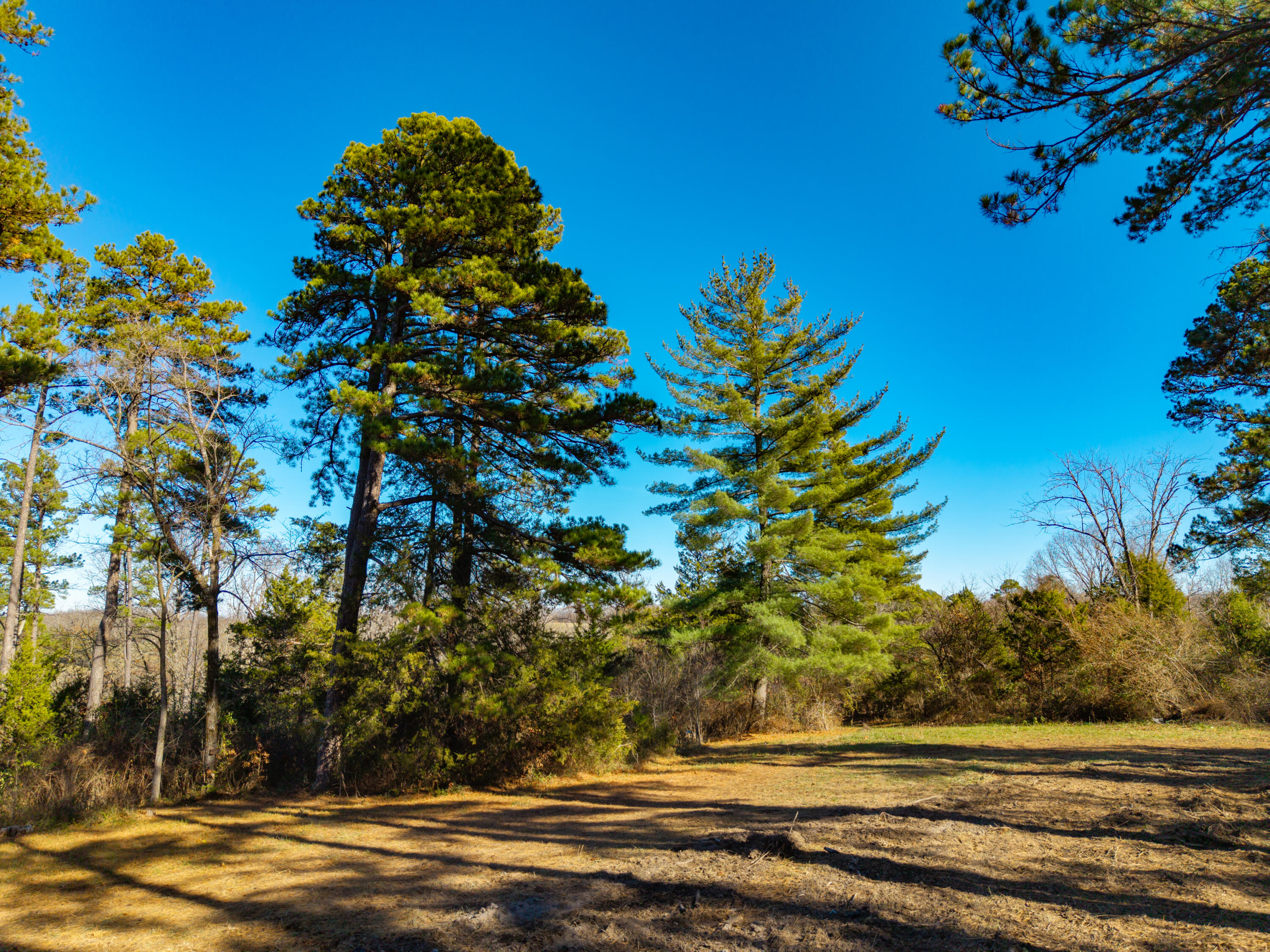14817 Malberg Road Property Photo 34