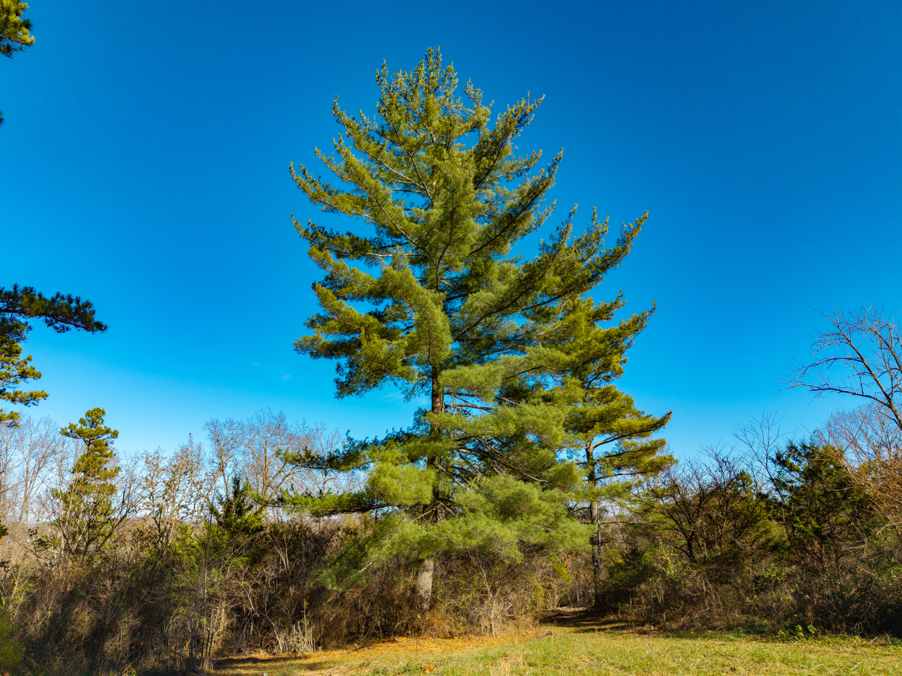 14817 Malberg Road Property Photo 35