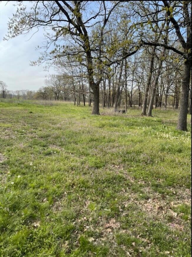 9155 Southwest Highway 82 Property Photo 10