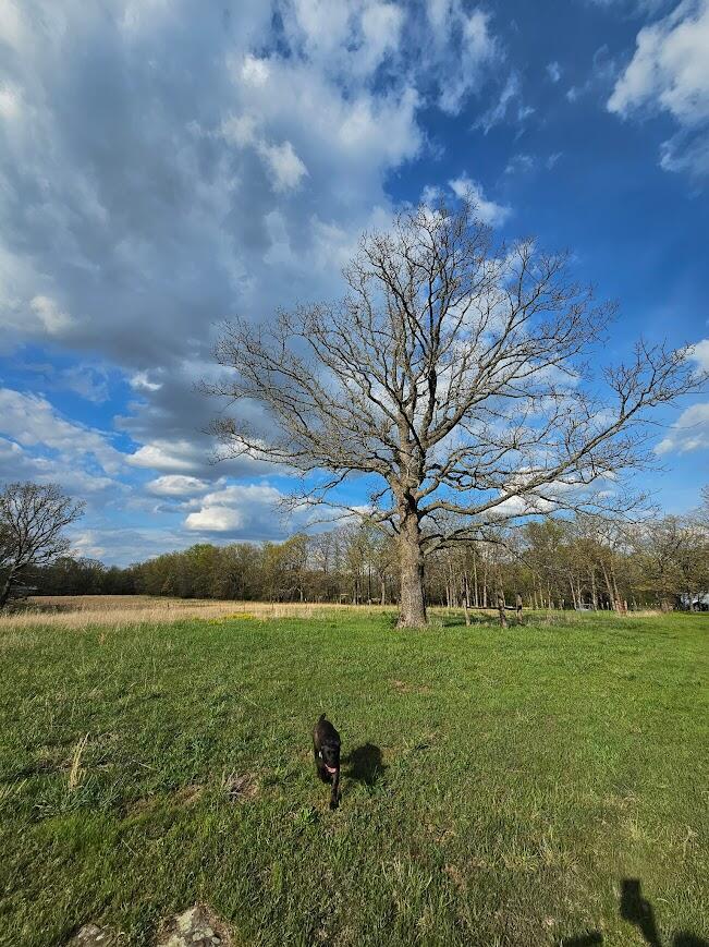9155 Southwest Highway 82 Property Photo 15