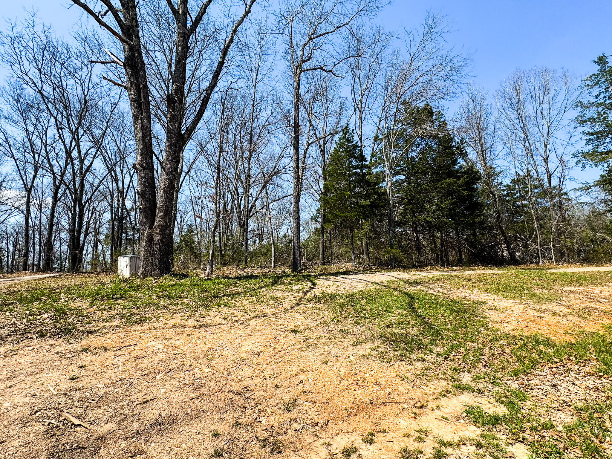 290 Mccord Bend Road Property Photo 8
