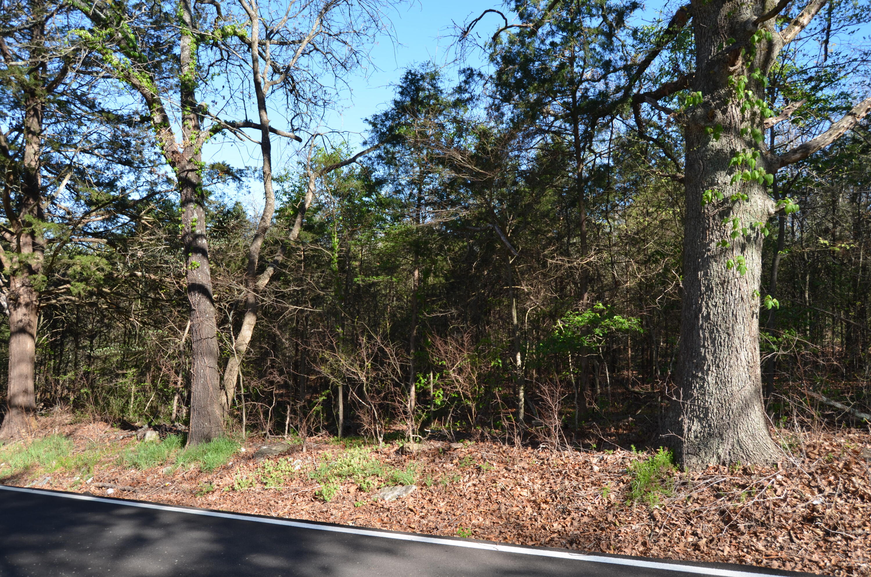 000 Persimmon Hill Lane Property Photo 10