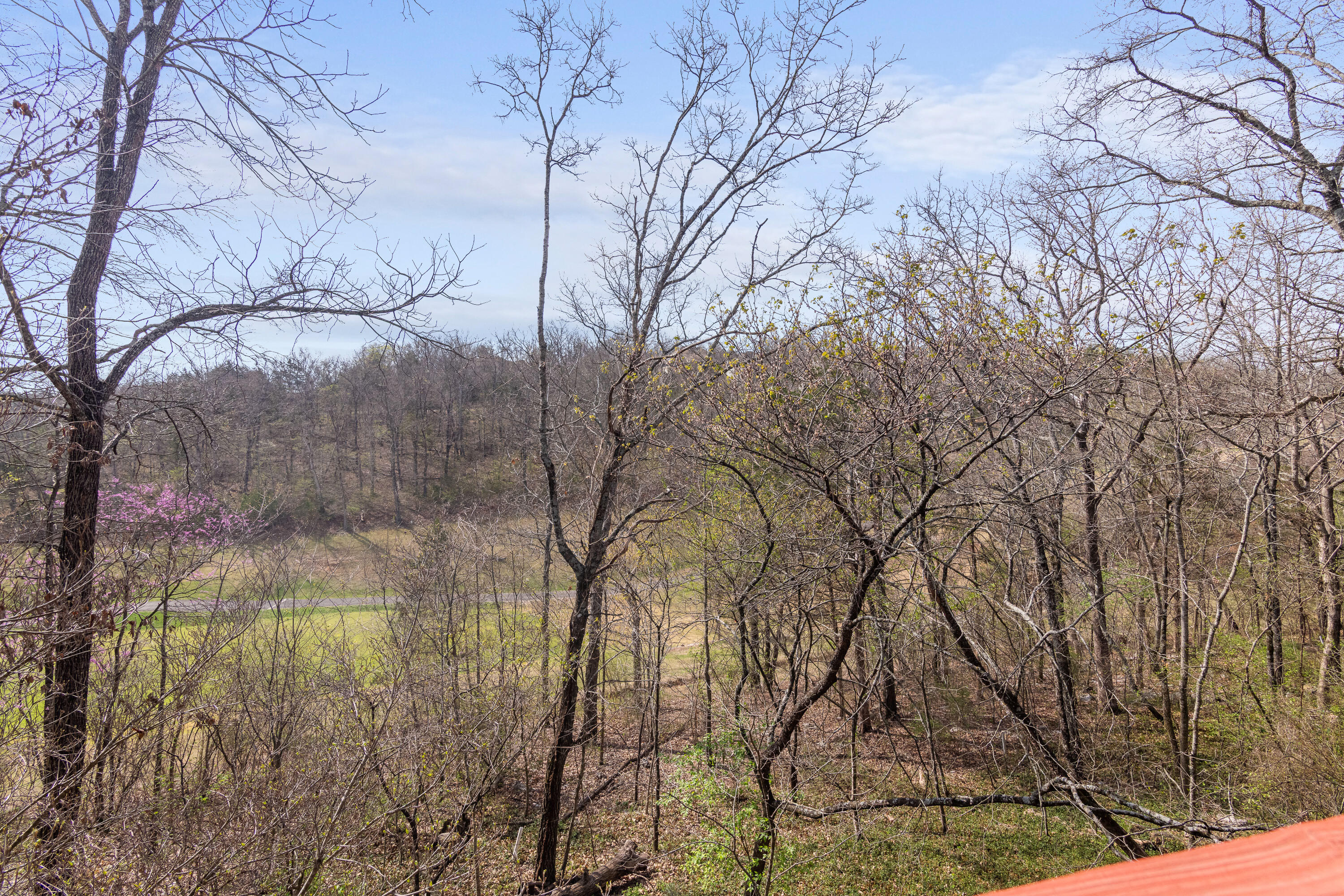 917 Silver Bluff Circle Property Photo 33