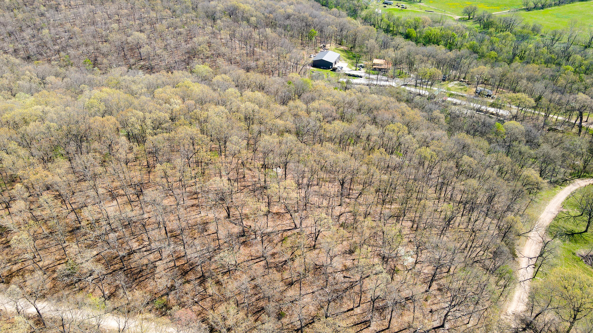 000 Red Wolf Lane Property Photo 3