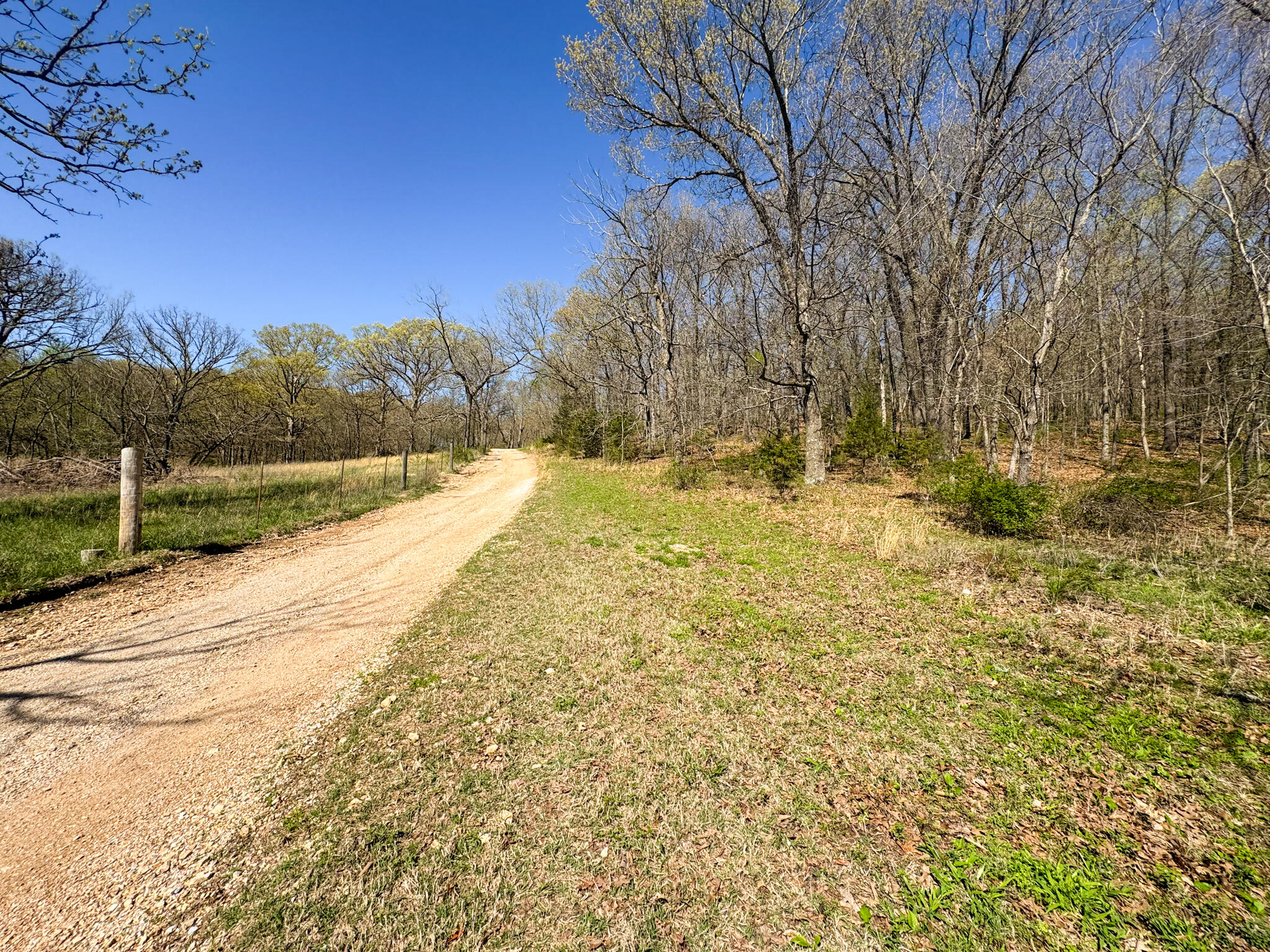 000 Red Wolf Lane Property Photo 6