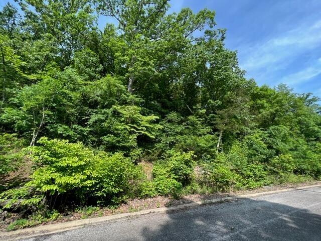Lot 29 Hill Haven Road Property Photo 1