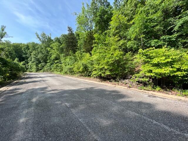 Lot 29 Hill Haven Road Property Photo 2