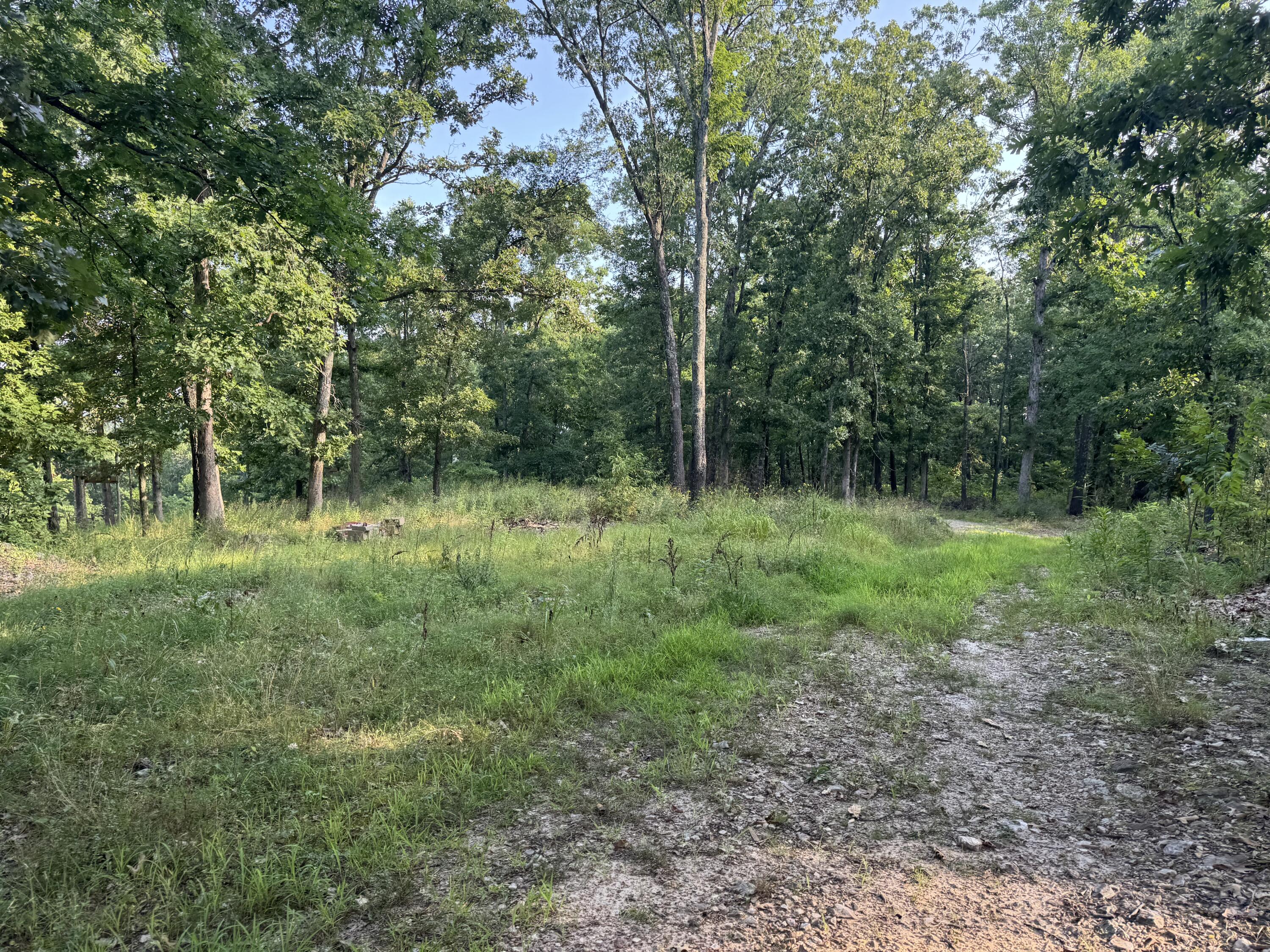 19301 State Highway N Property Photo 11