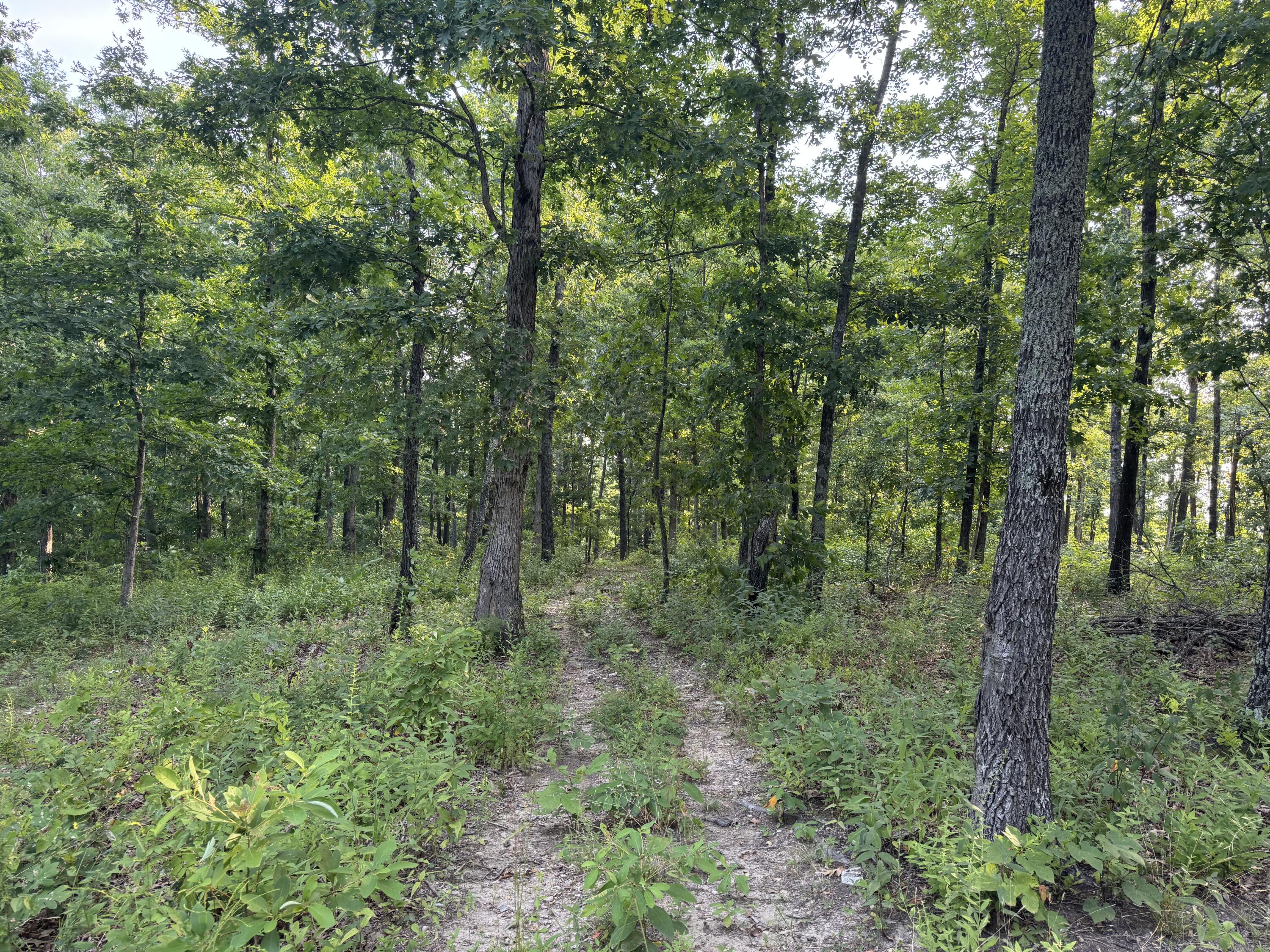 19301 State Highway N Property Photo 12